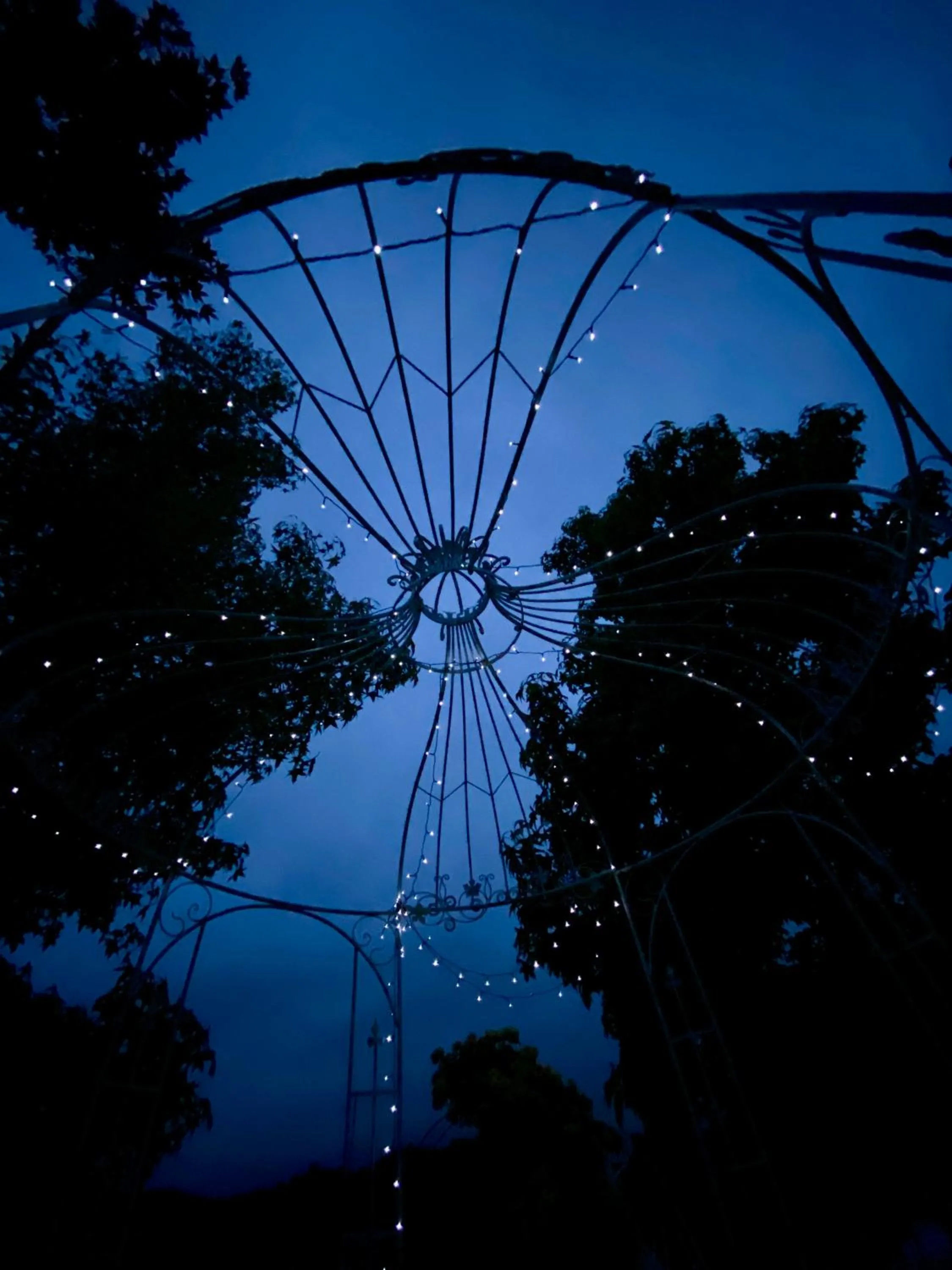 Night in Residence delle Rose