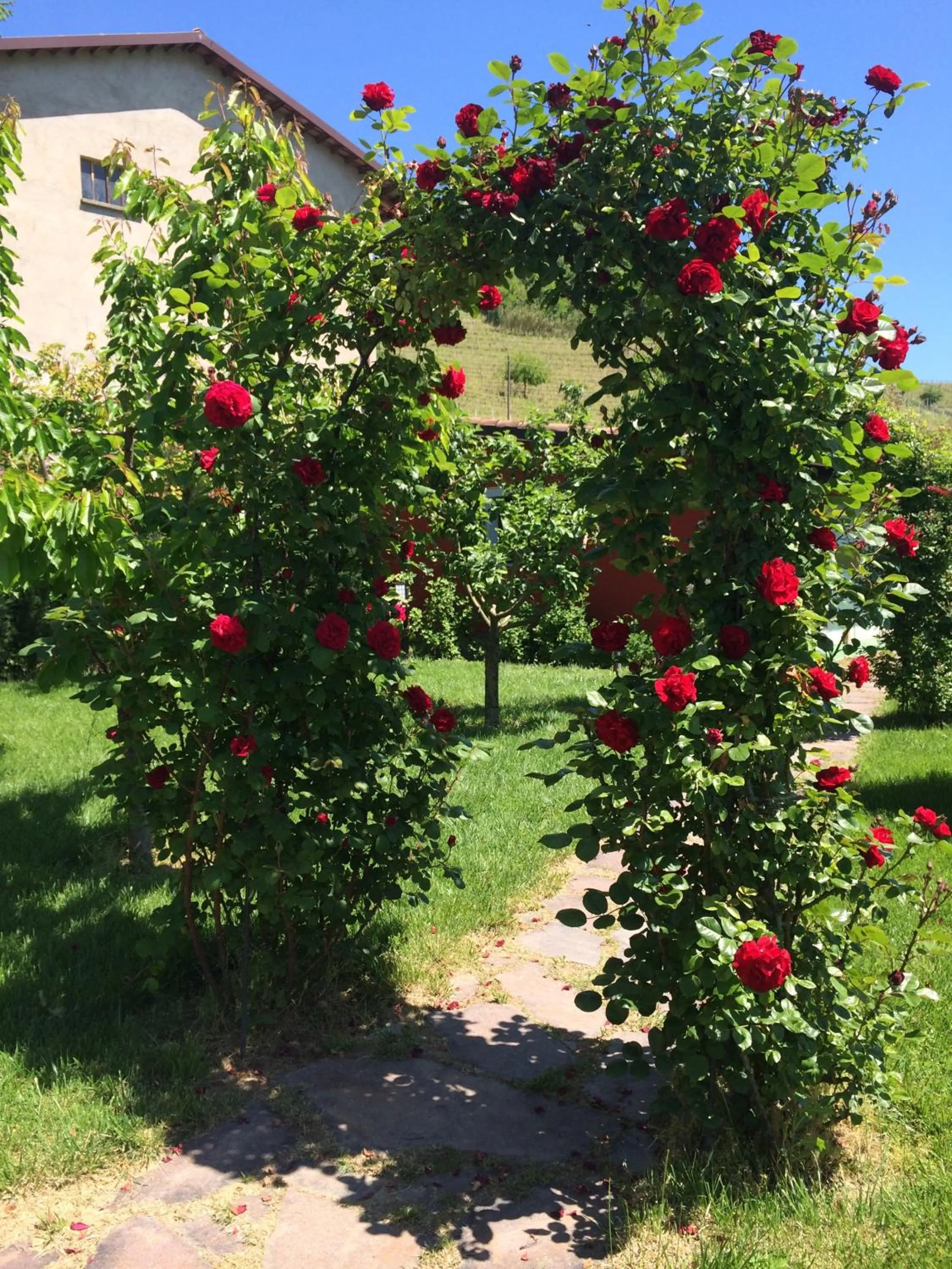 Garden in Residence delle Rose