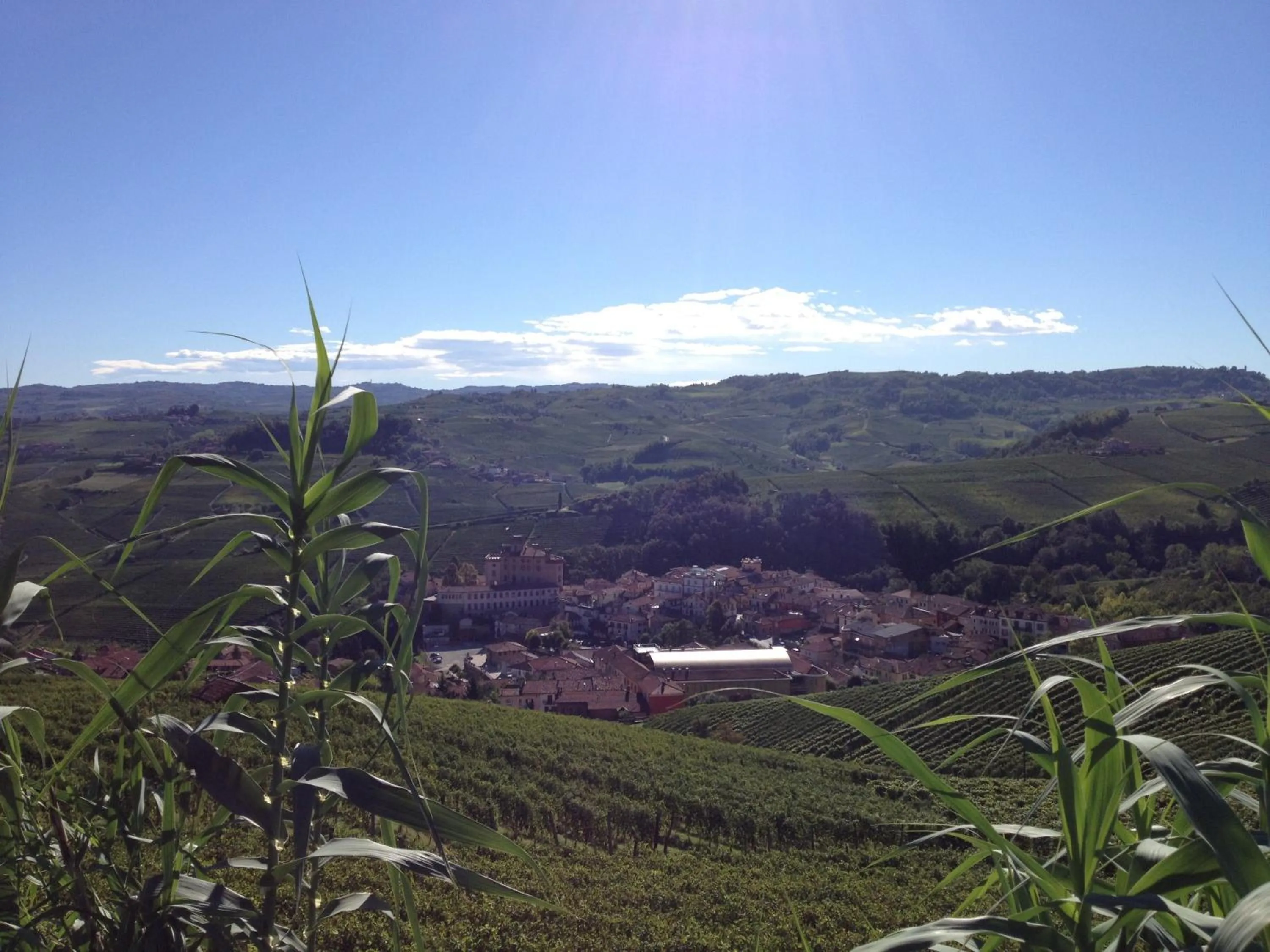 Landmark view in Residence delle Rose