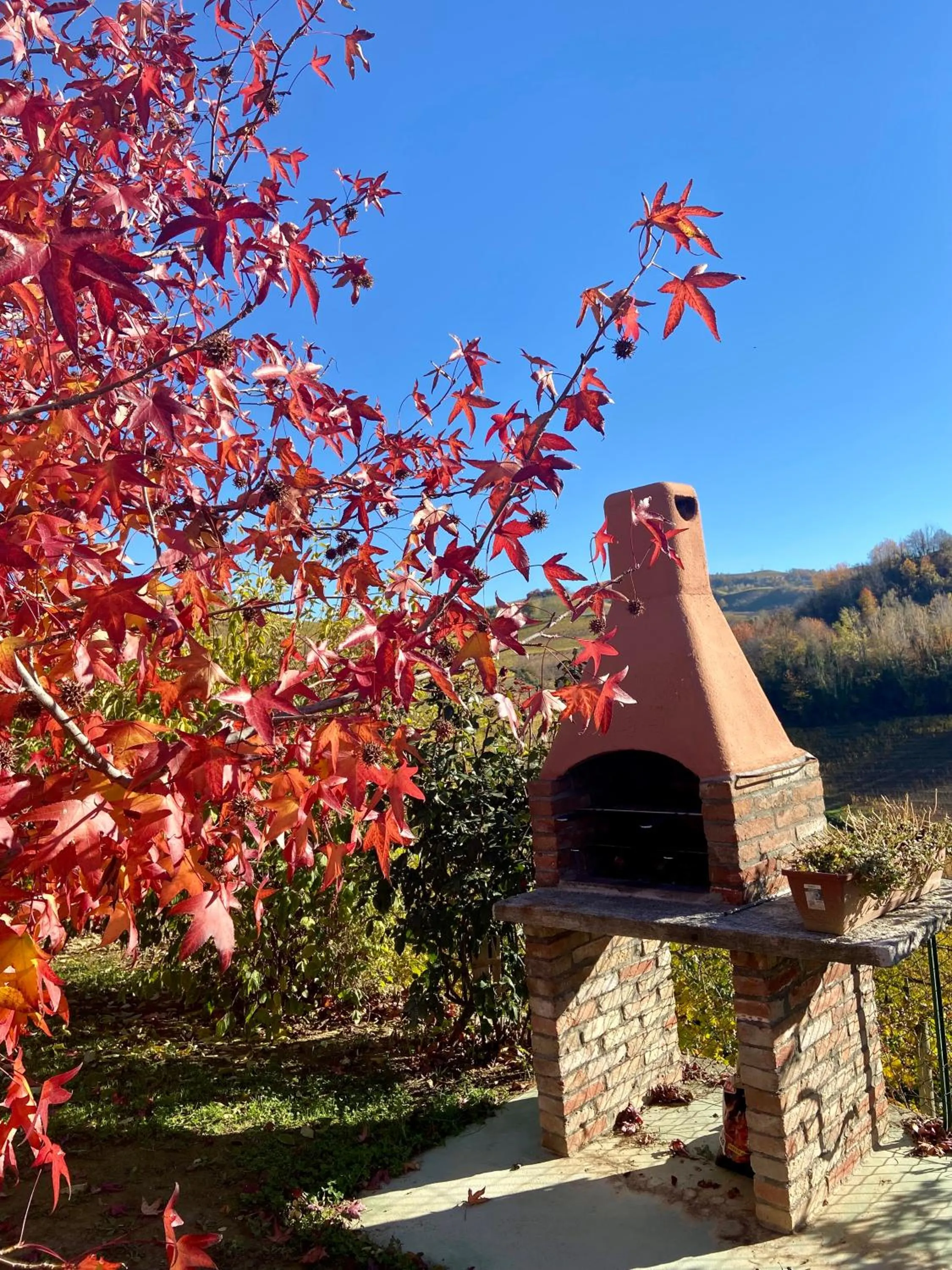 BBQ facilities in Residence delle Rose