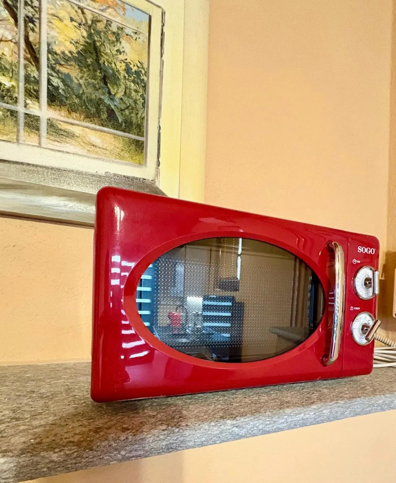 microwave in Residence delle Rose