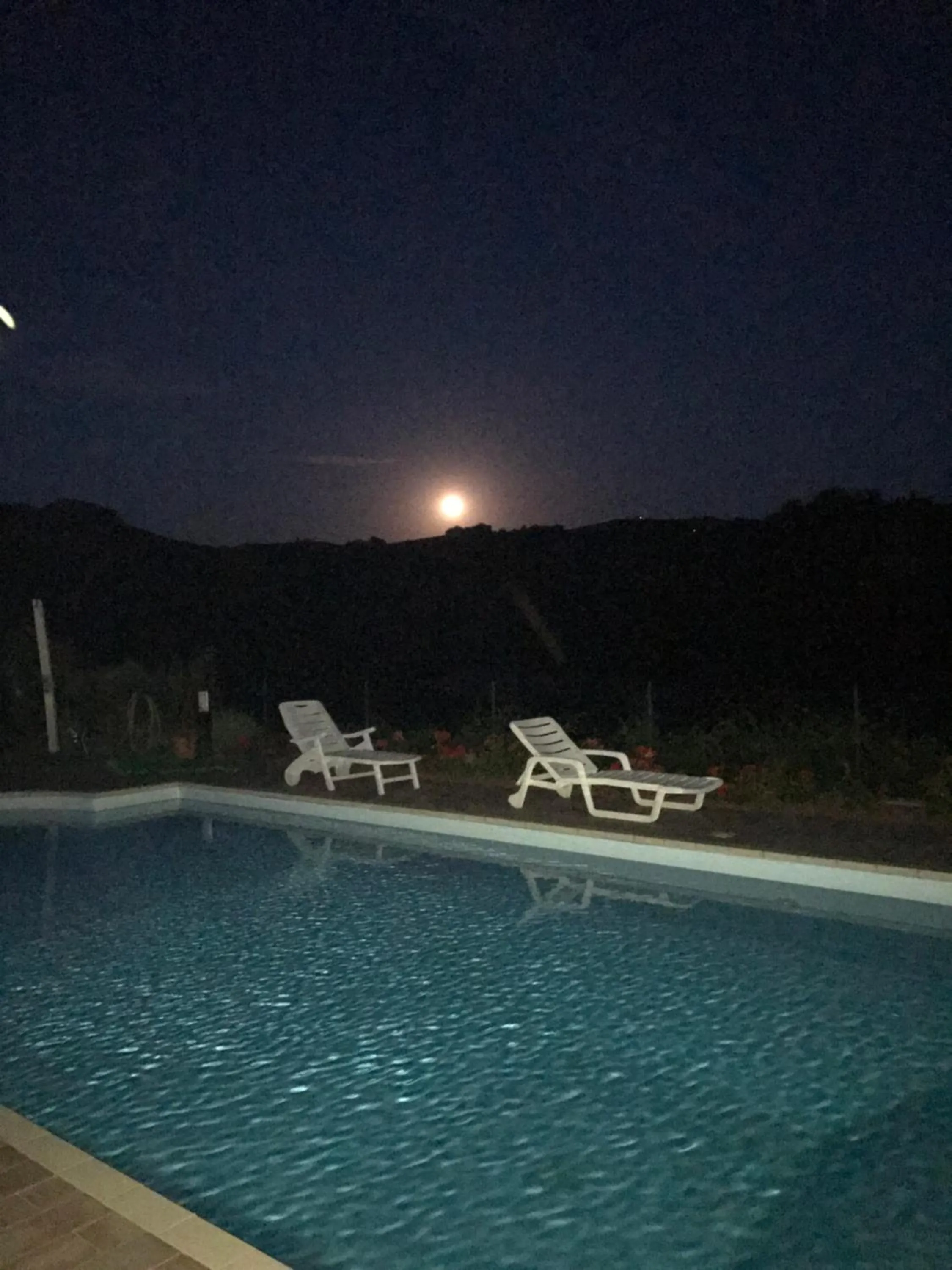Swimming pool in Residence delle Rose