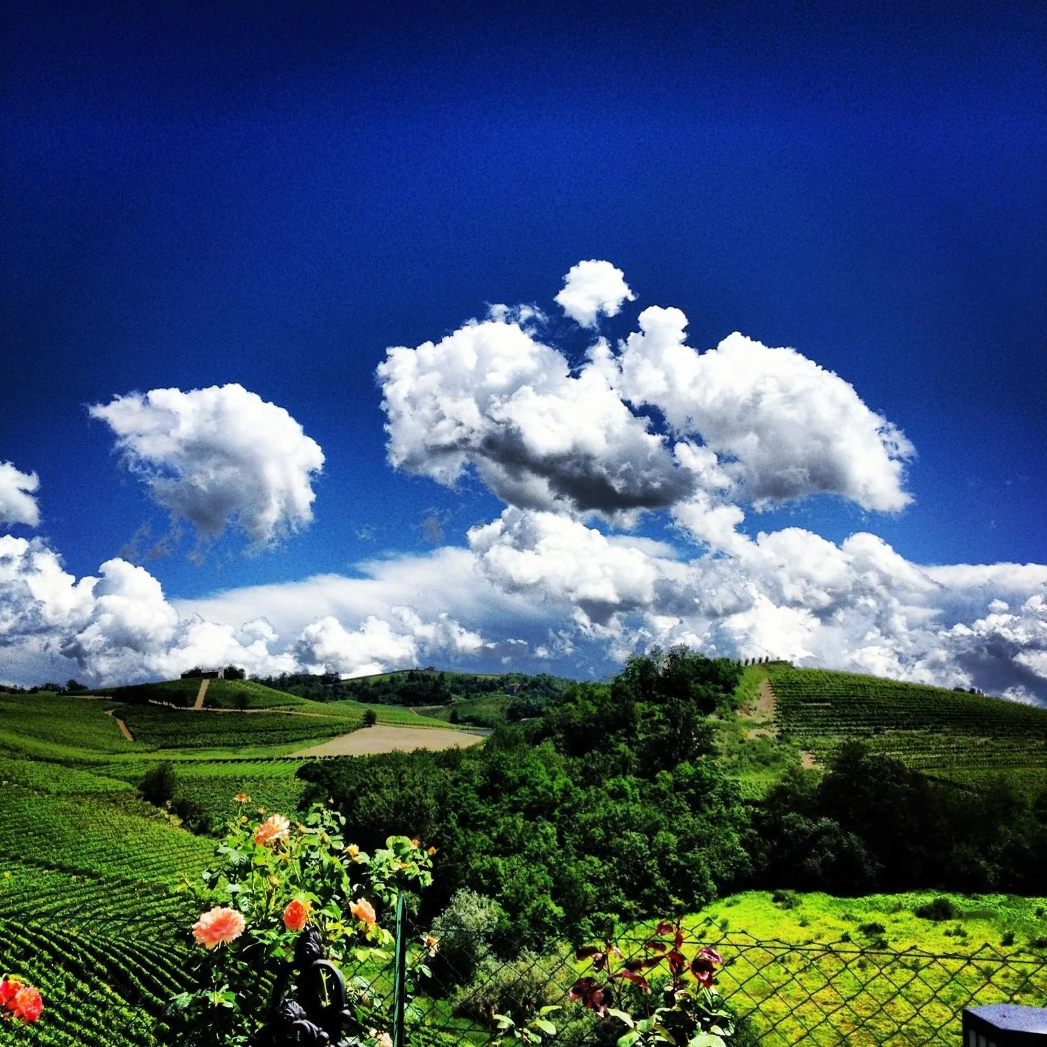 View (from property/room) in Residence delle Rose