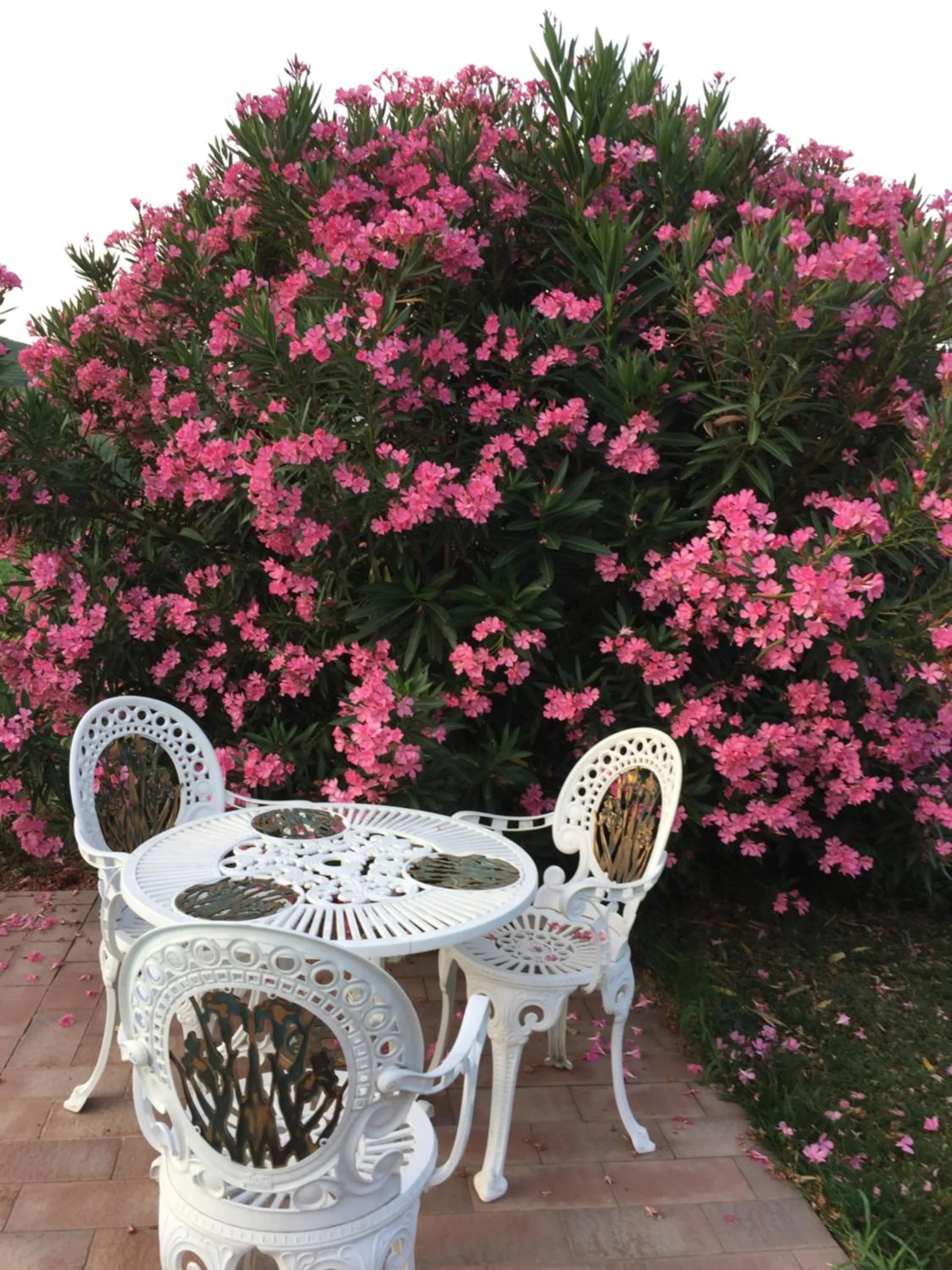 Garden in Residence delle Rose