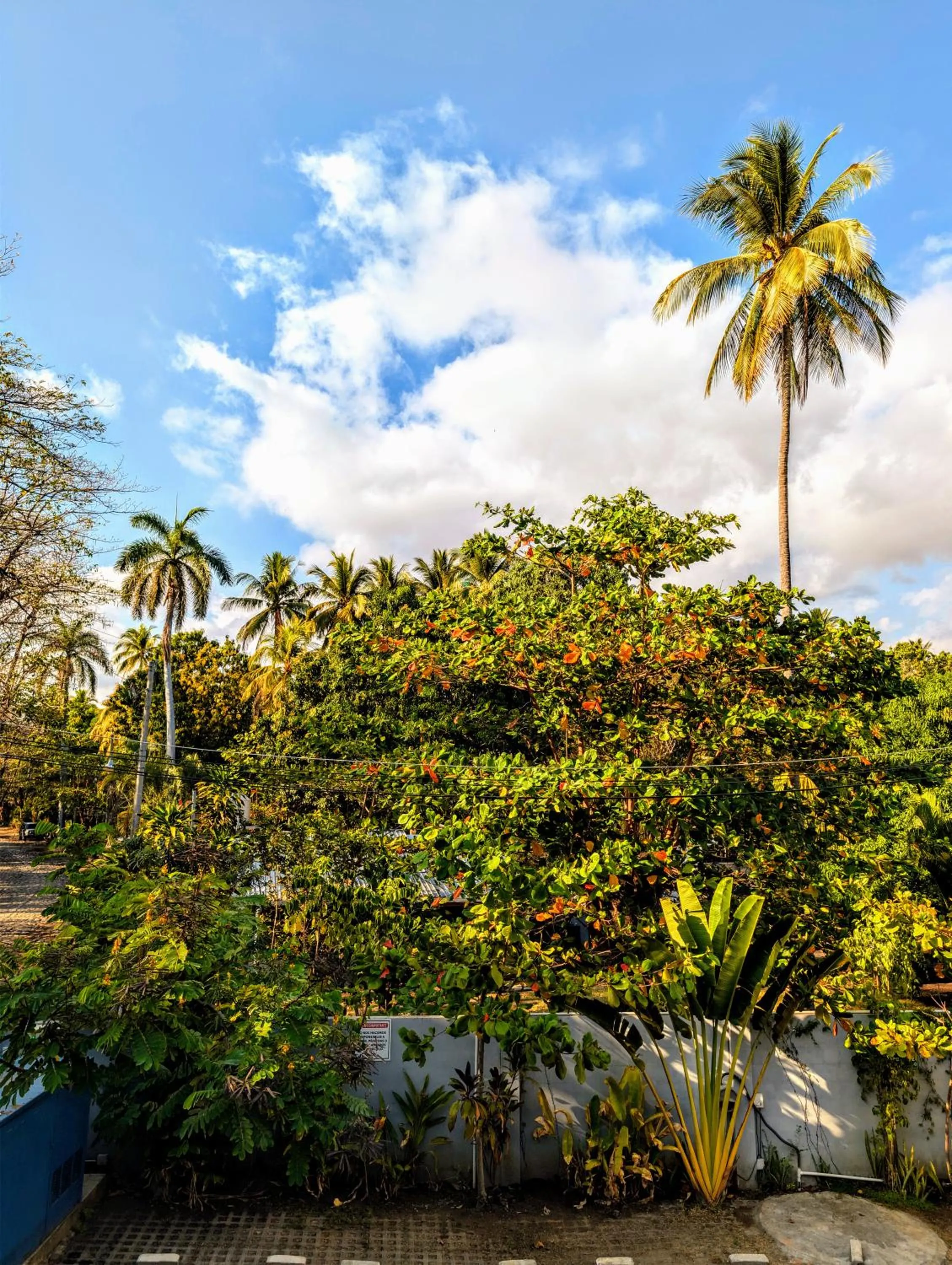 The Views Resort