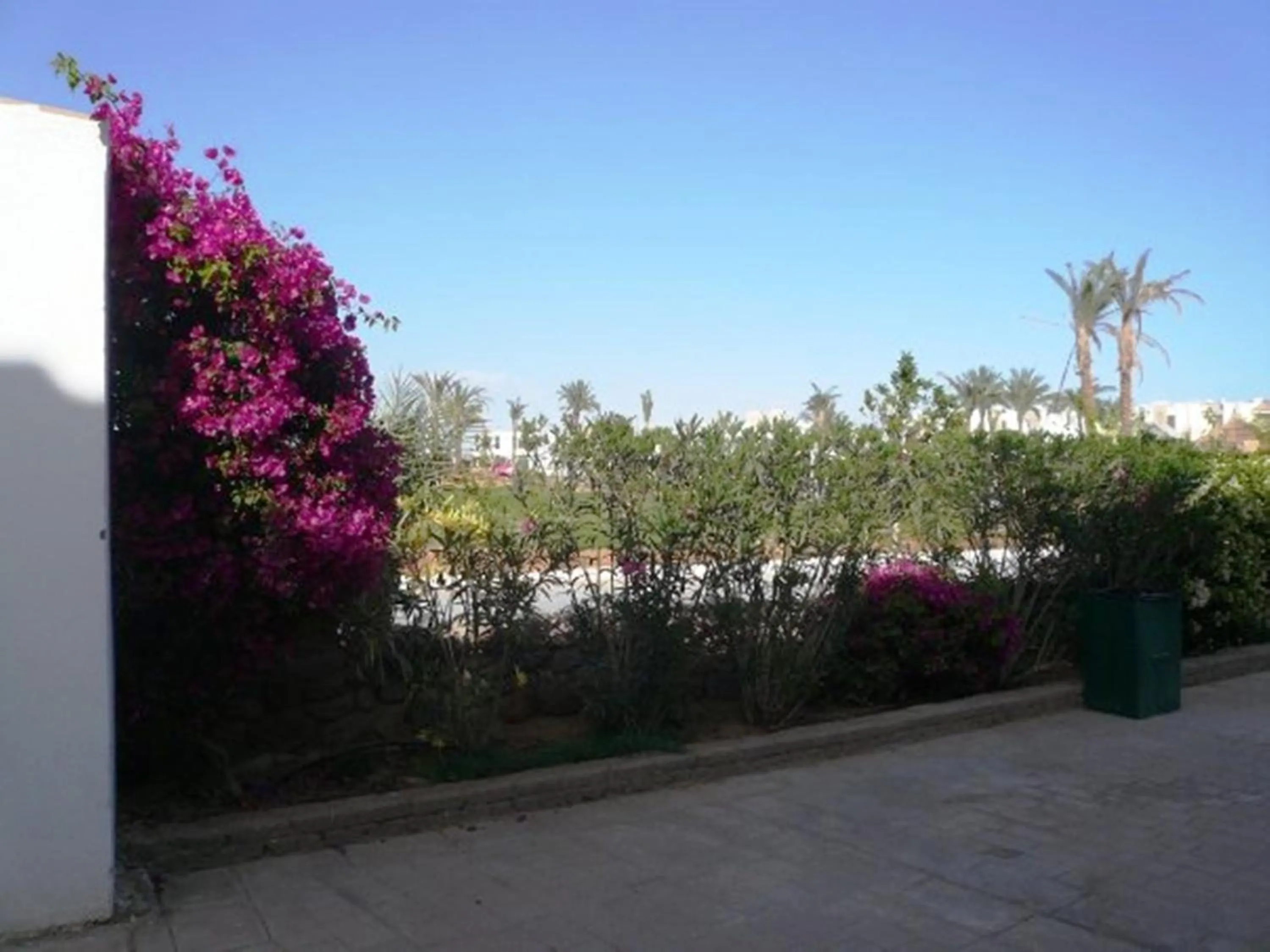 Garden in Logaina Sharm Resort Apartments