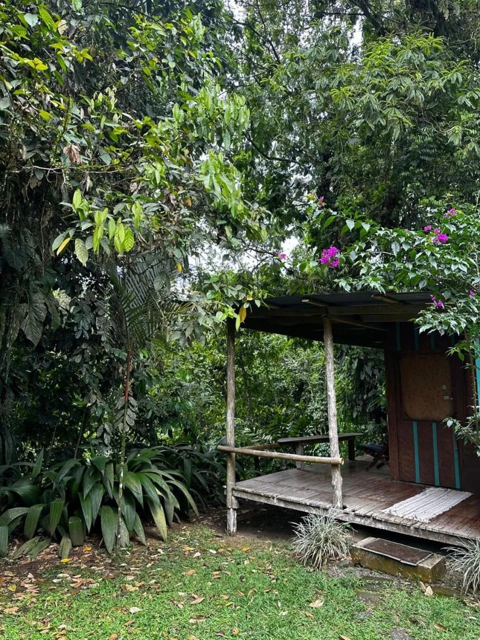 Casa Rio Blanco Eco Friendly B&B