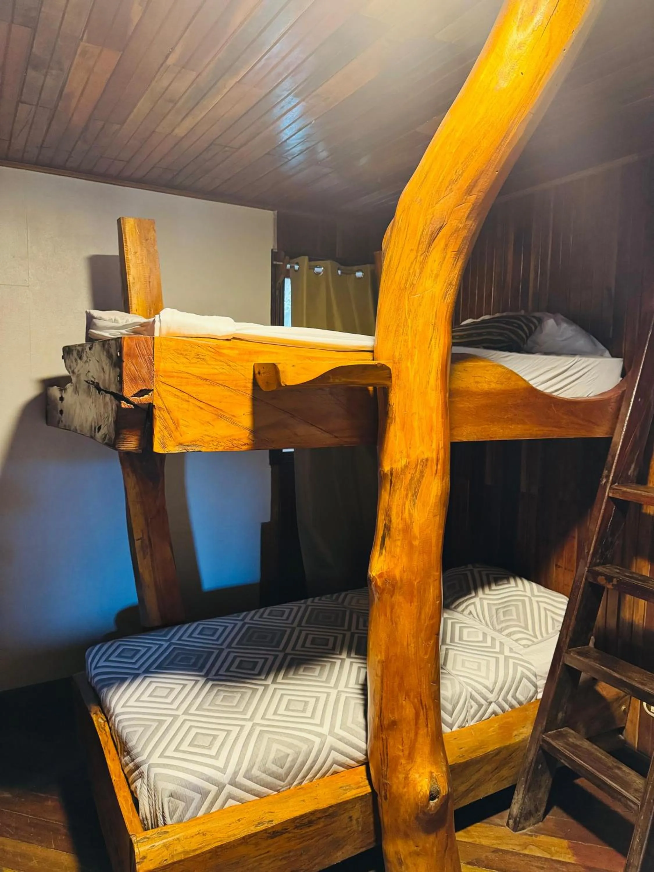 Bed in Hotel La Isla Inn