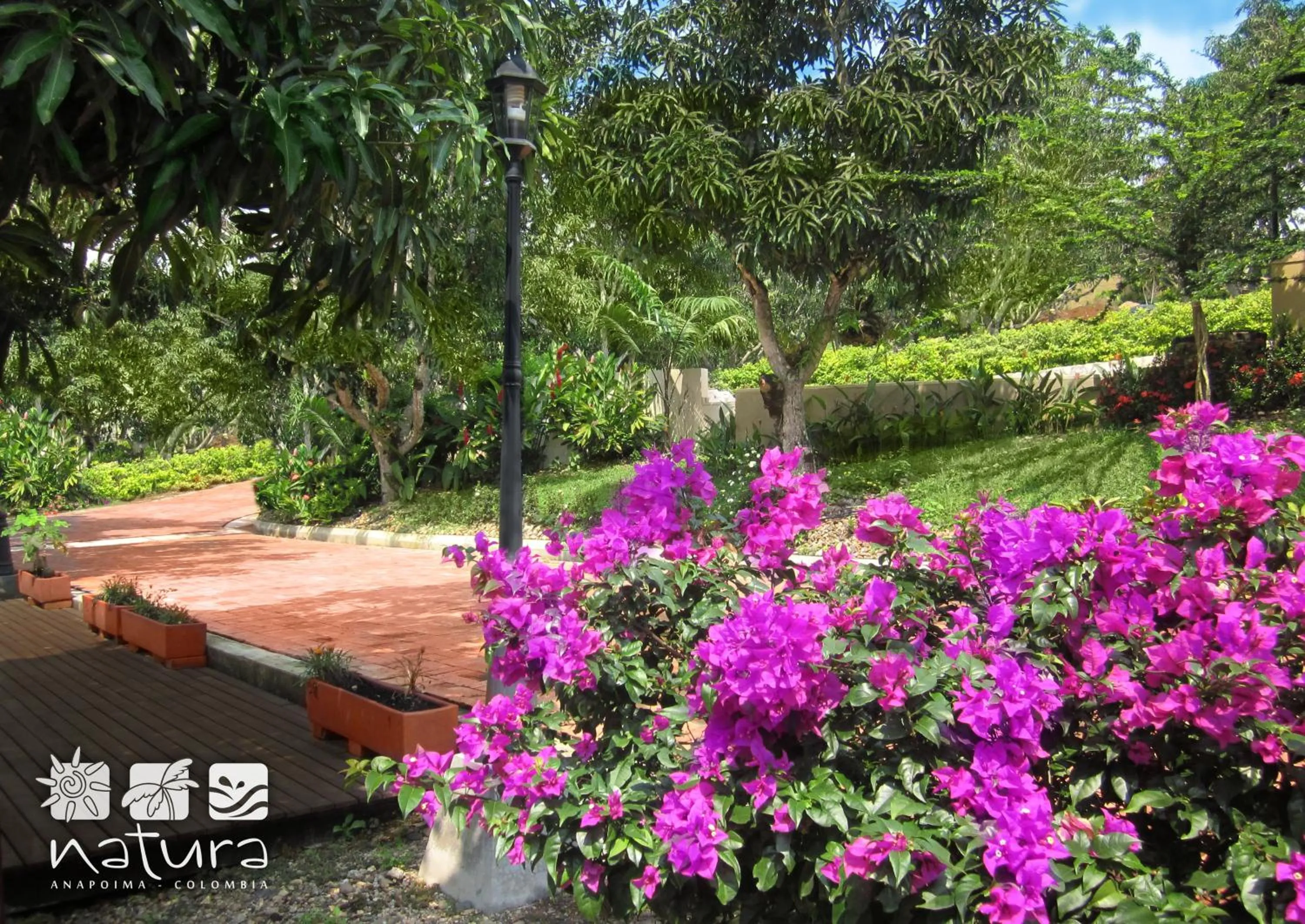 Garden view in Natura Reservado - Hoteles Natura