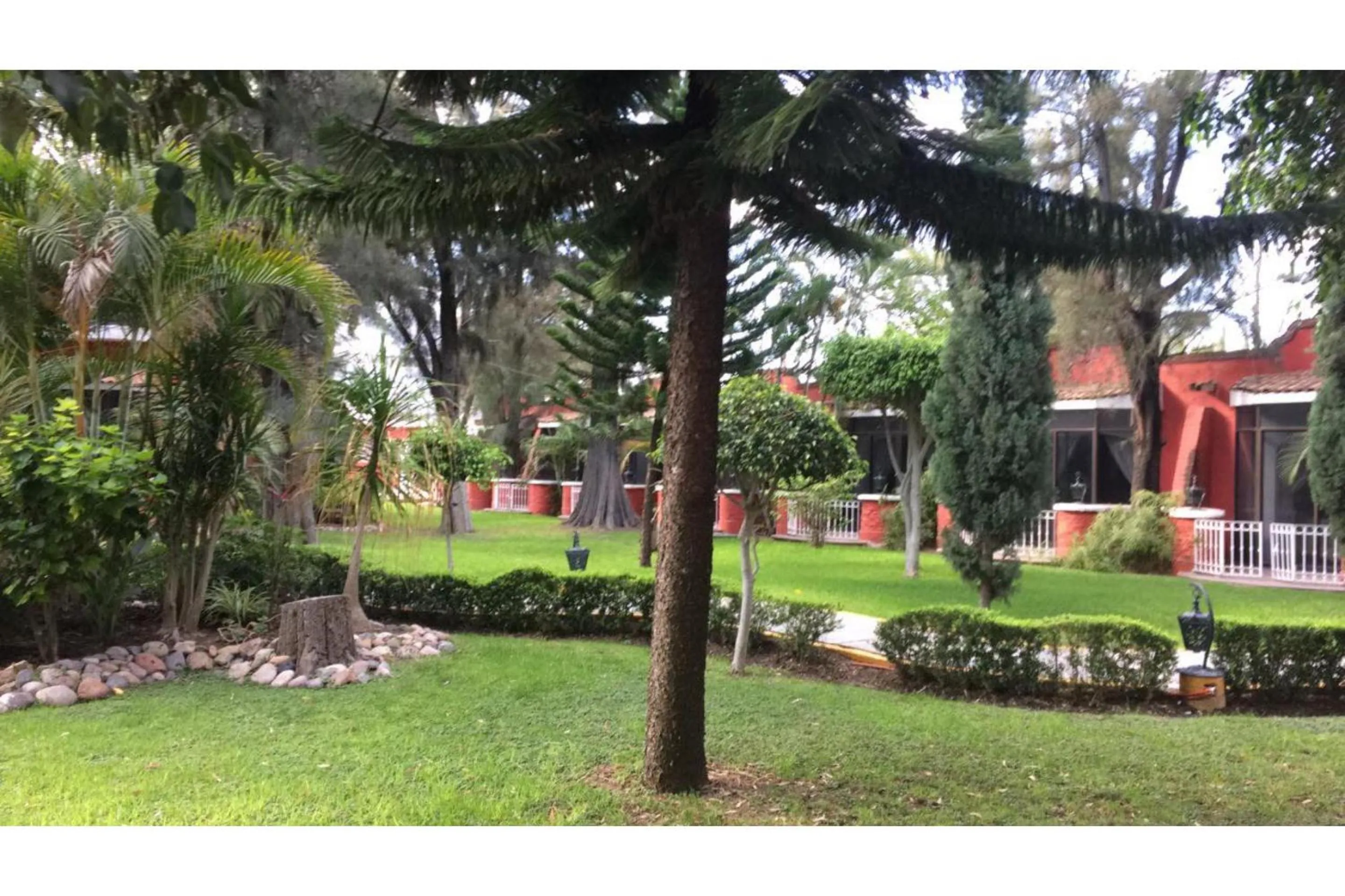 Swimming pool in Capital O Gran Hotel Campestre