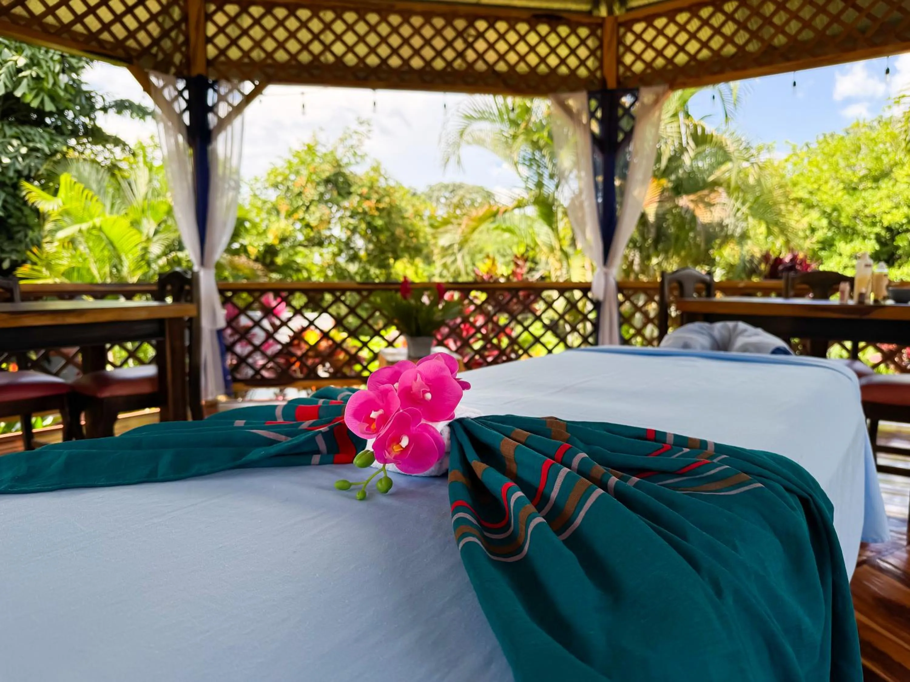 Garden in Hotel Heliconias Nature Inn & Hot Springs