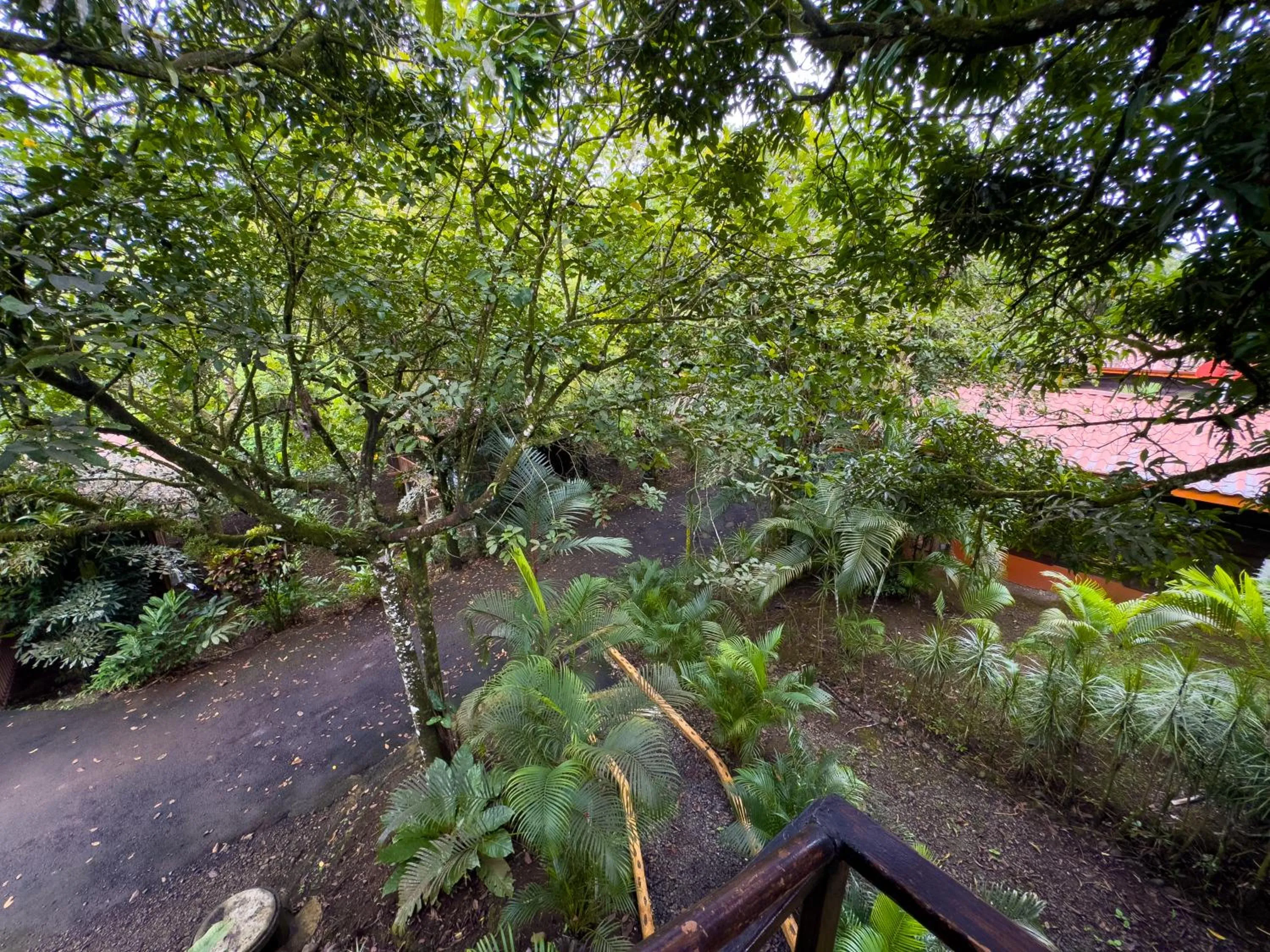 Garden view in Hotel Heliconias Nature Inn & Hot Springs