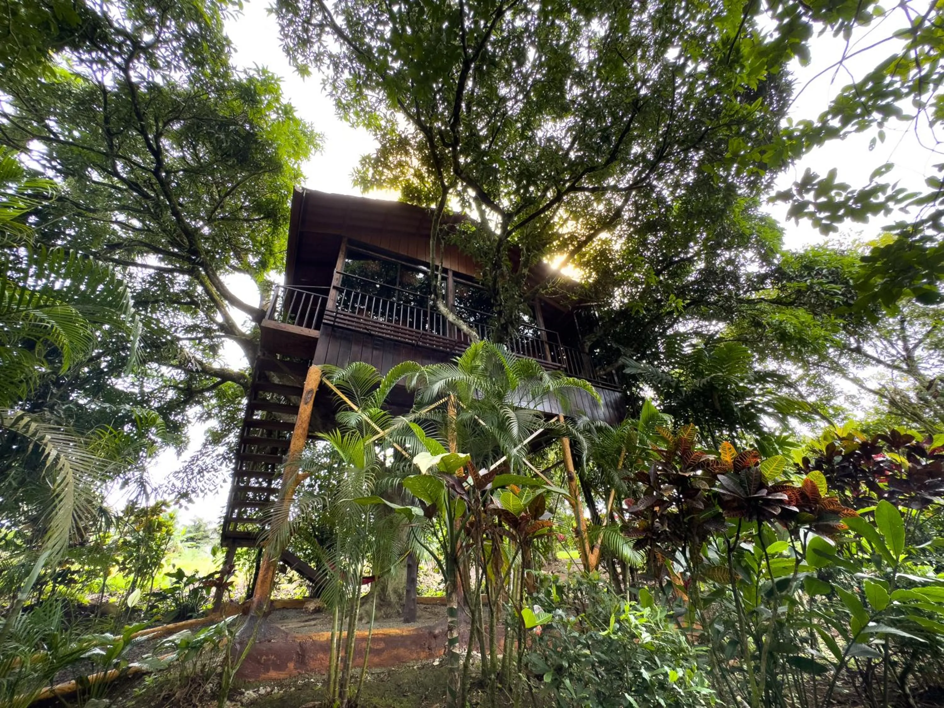 Garden view in Hotel Heliconias Nature Inn & Hot Springs