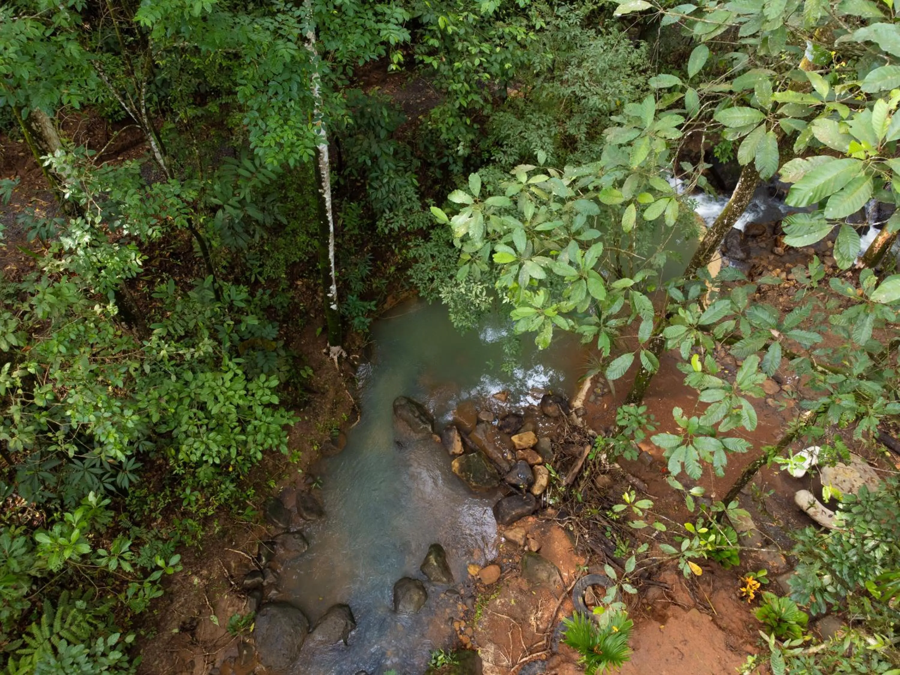River view in Hotel Heliconias Nature Inn & Hot Springs