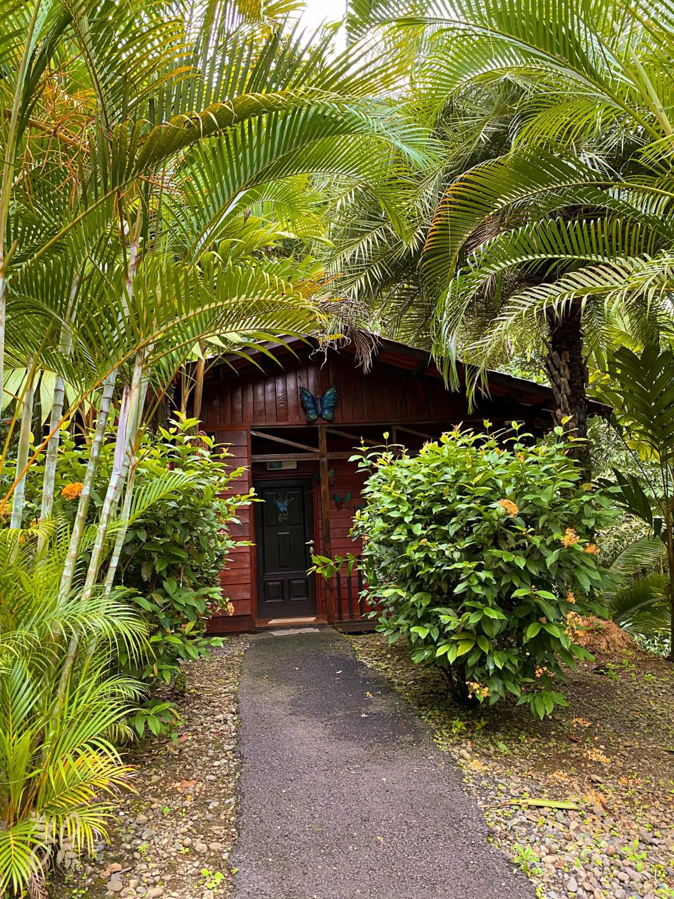 Garden in Hotel Heliconias Nature Inn & Hot Springs
