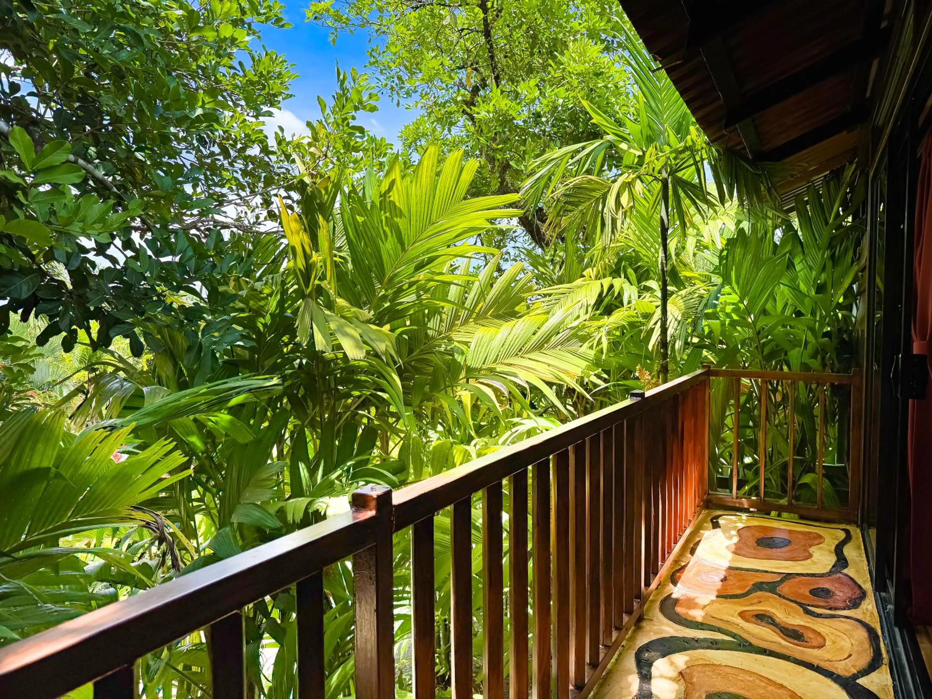 View (from property/room) in Hotel Heliconias Nature Inn & Hot Springs