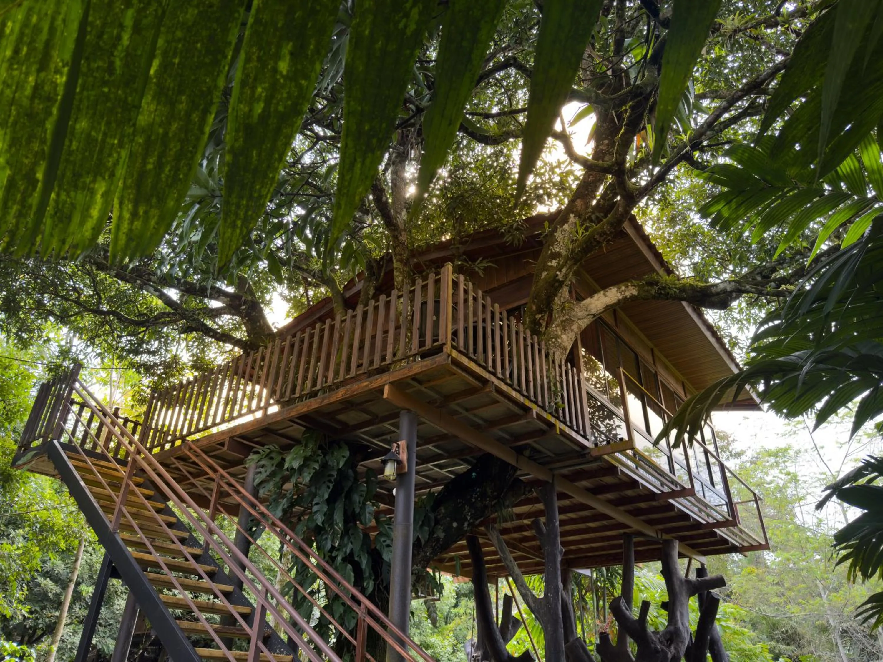 Spring in Hotel Heliconias Nature Inn & Hot Springs