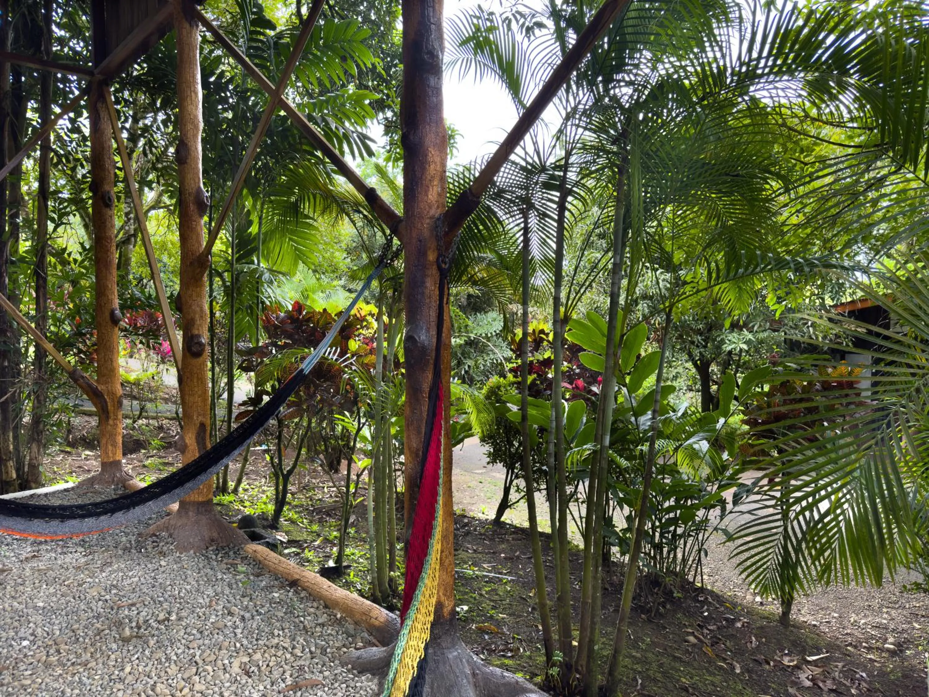 Spring in Hotel Heliconias Nature Inn & Hot Springs