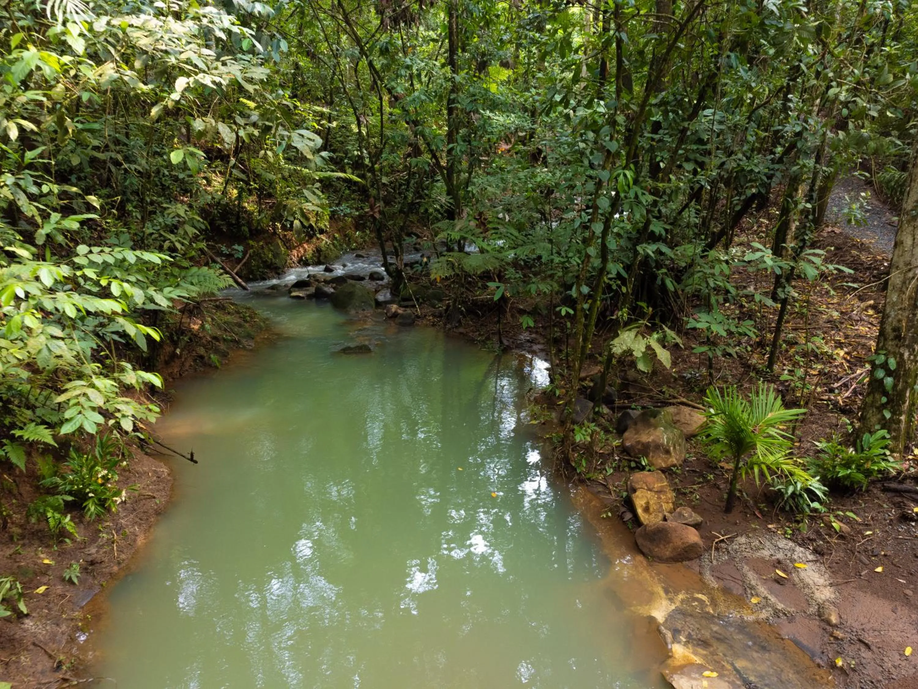 River view in Hotel Heliconias Nature Inn & Hot Springs