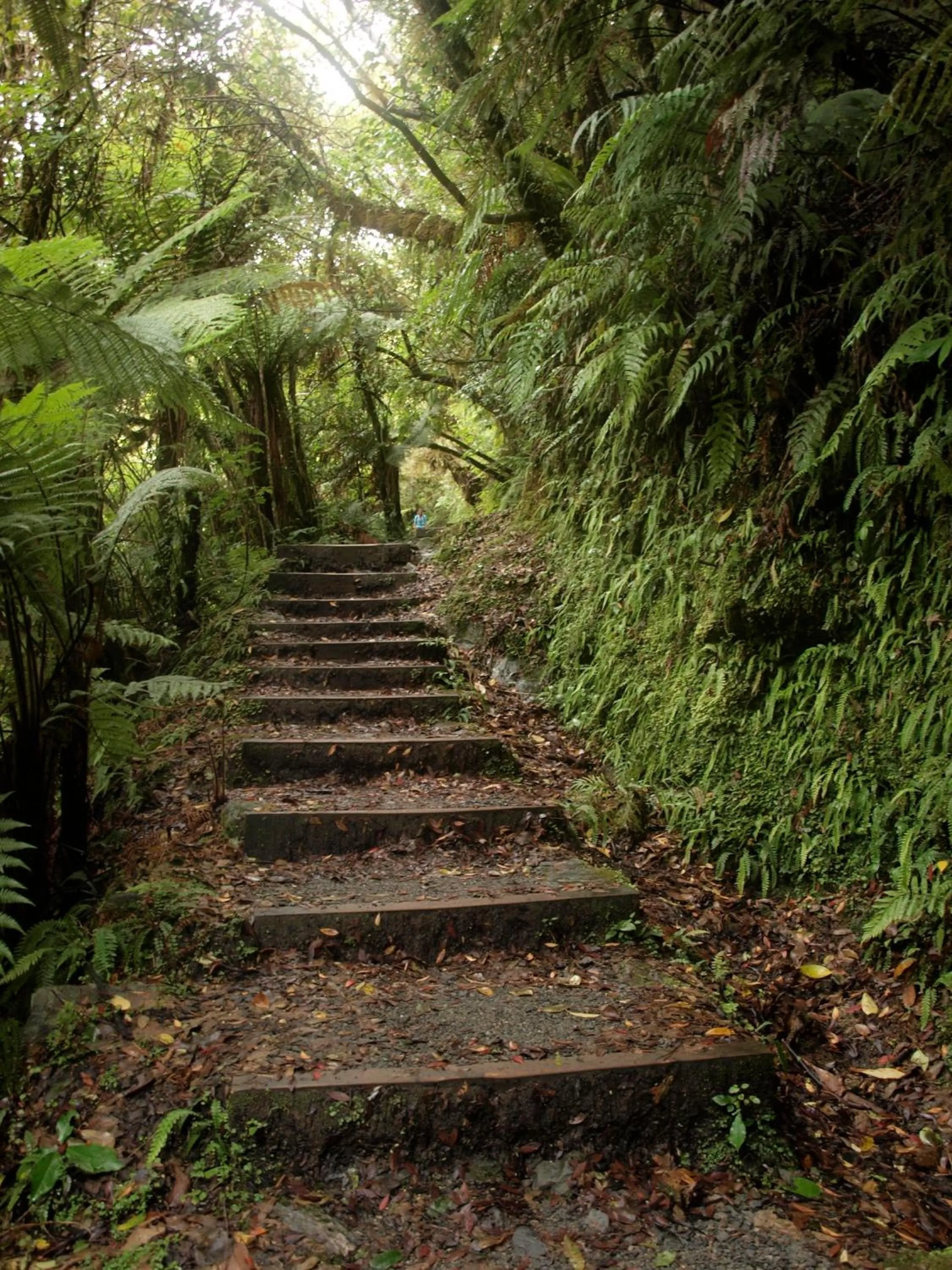 Garden in Ivorytowers Accommodation