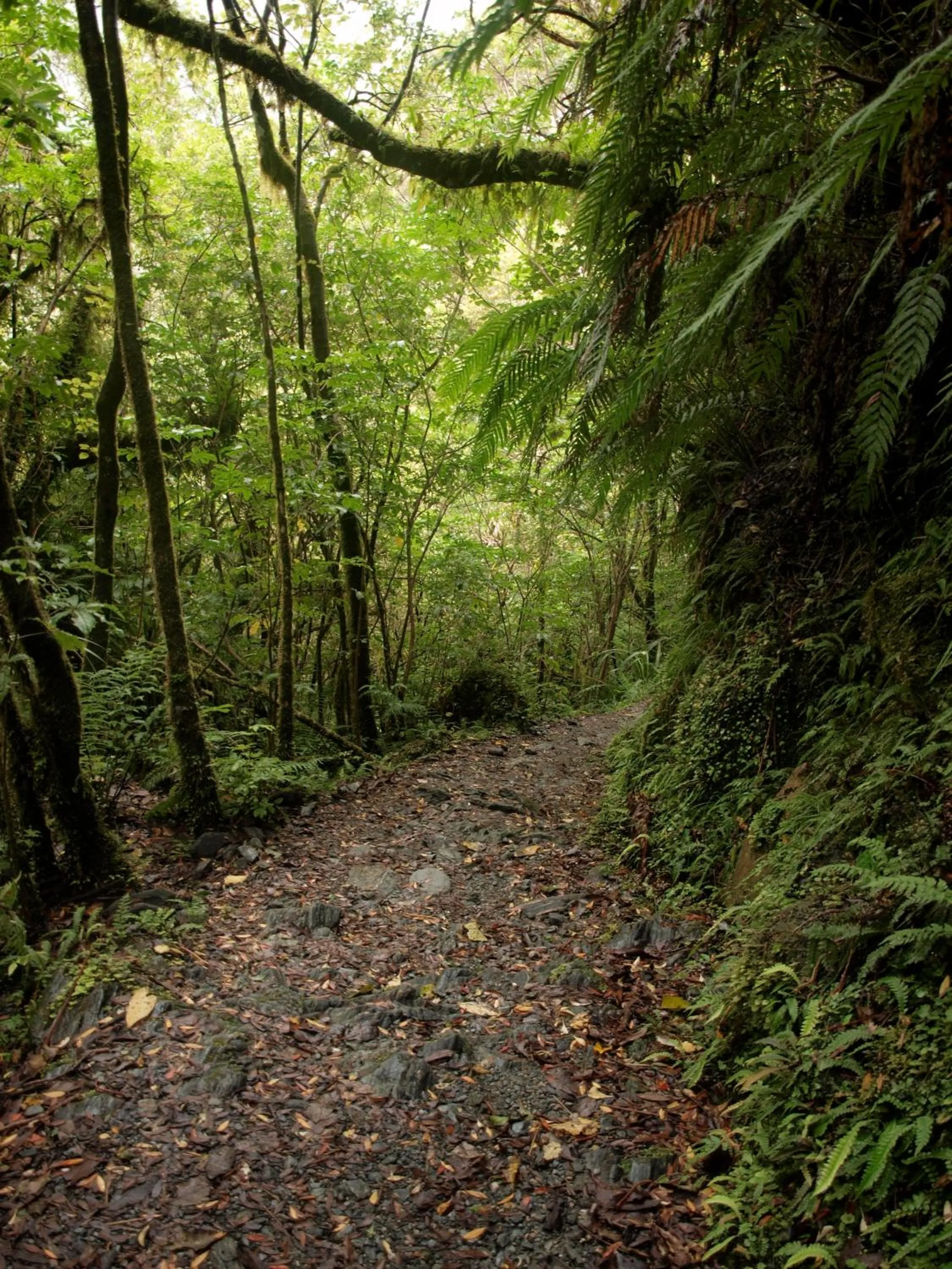 Natural landscape in Ivorytowers Accommodation