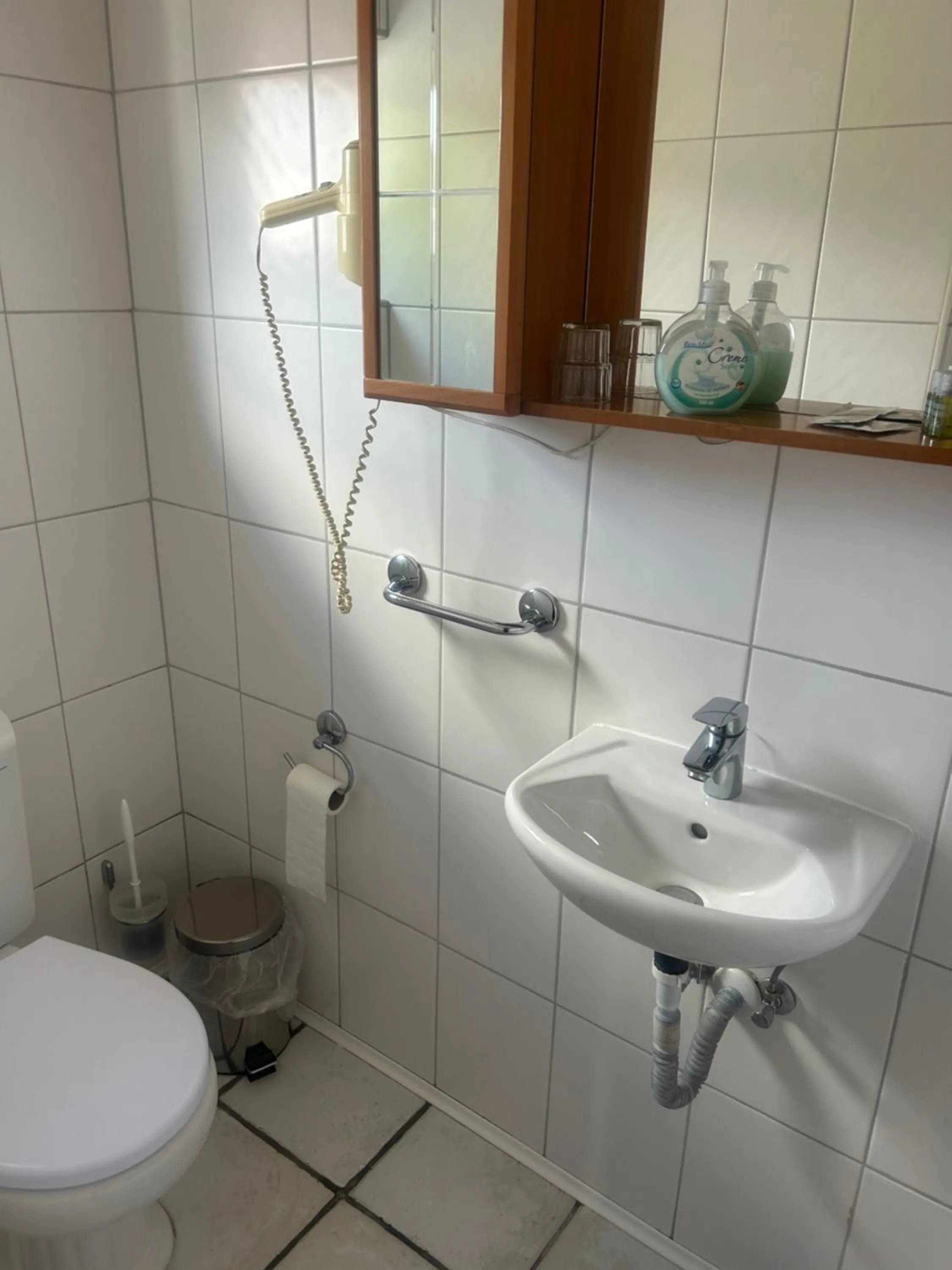 Toilet in Gasthof zur Post