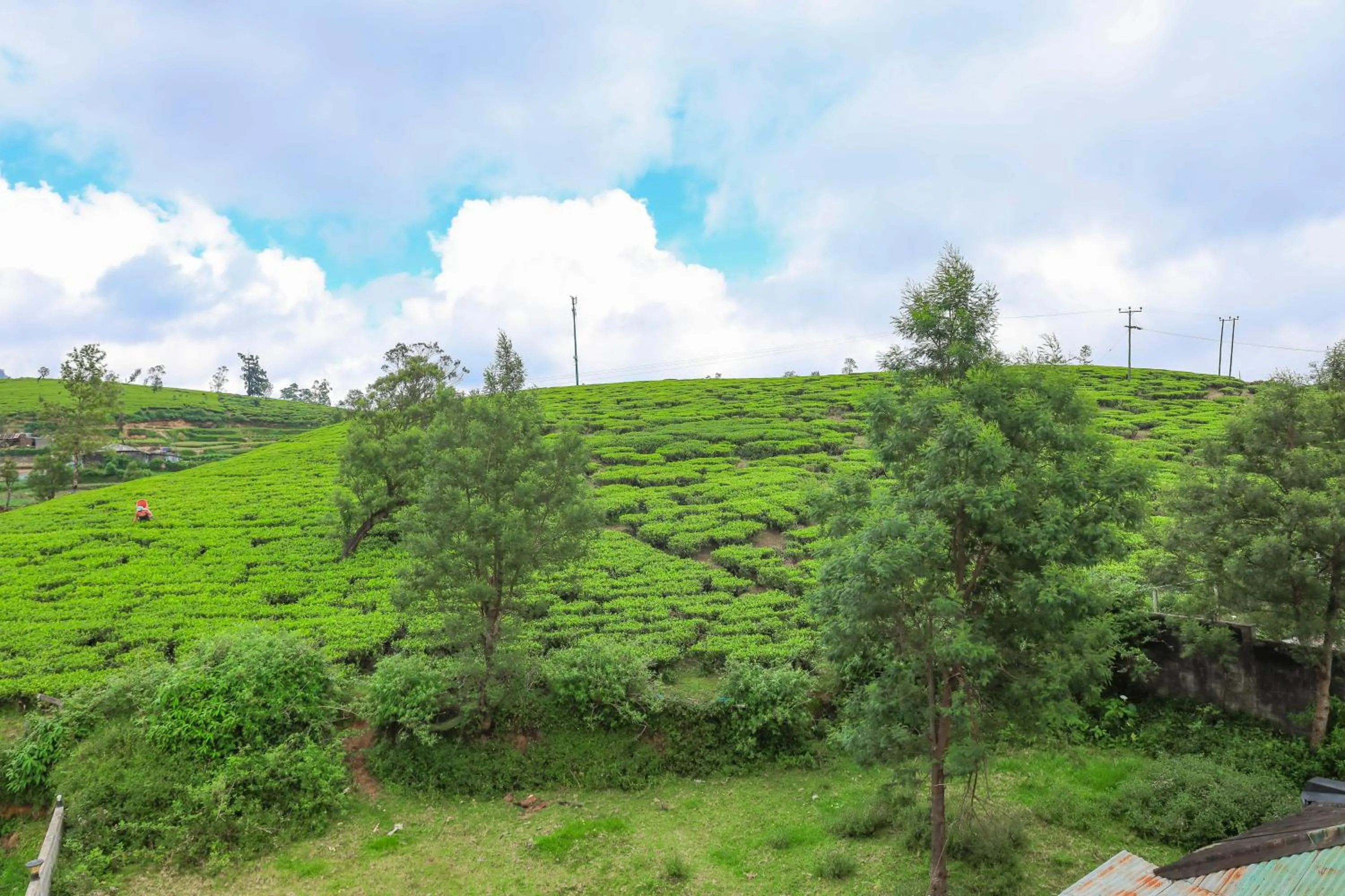 Natural landscape in Queens Lake Cabin