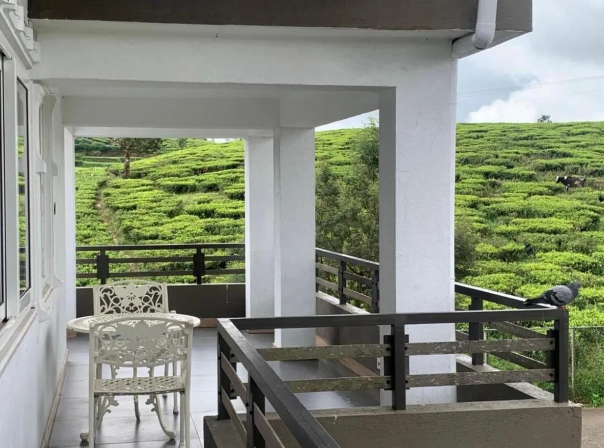 Natural landscape in Queens Lake Cabin