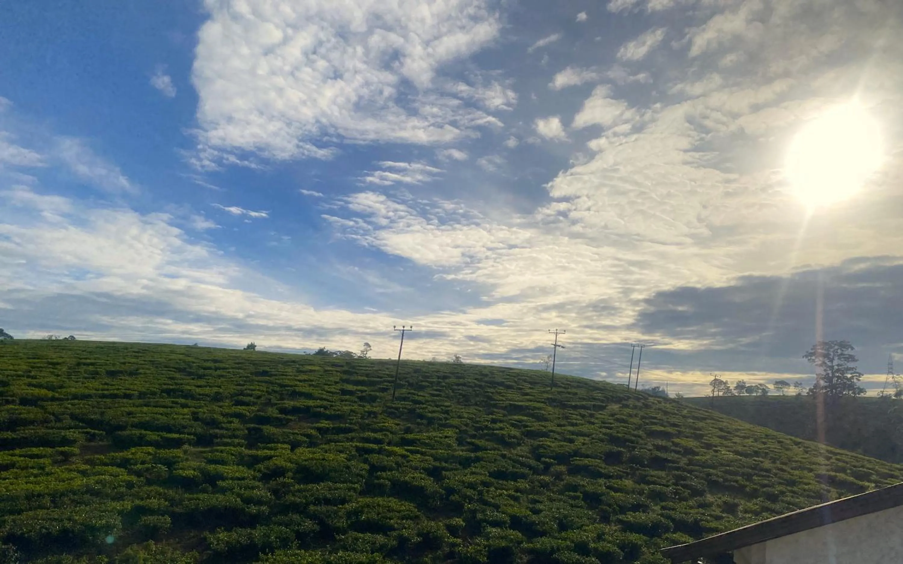 Mountain view in Queens Lake Cabin