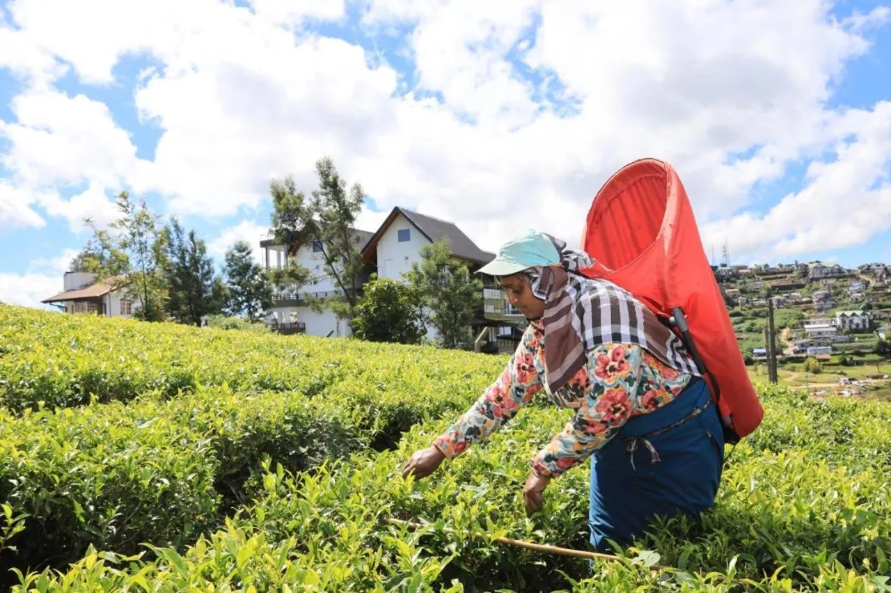 People in Queens Lake Cabin