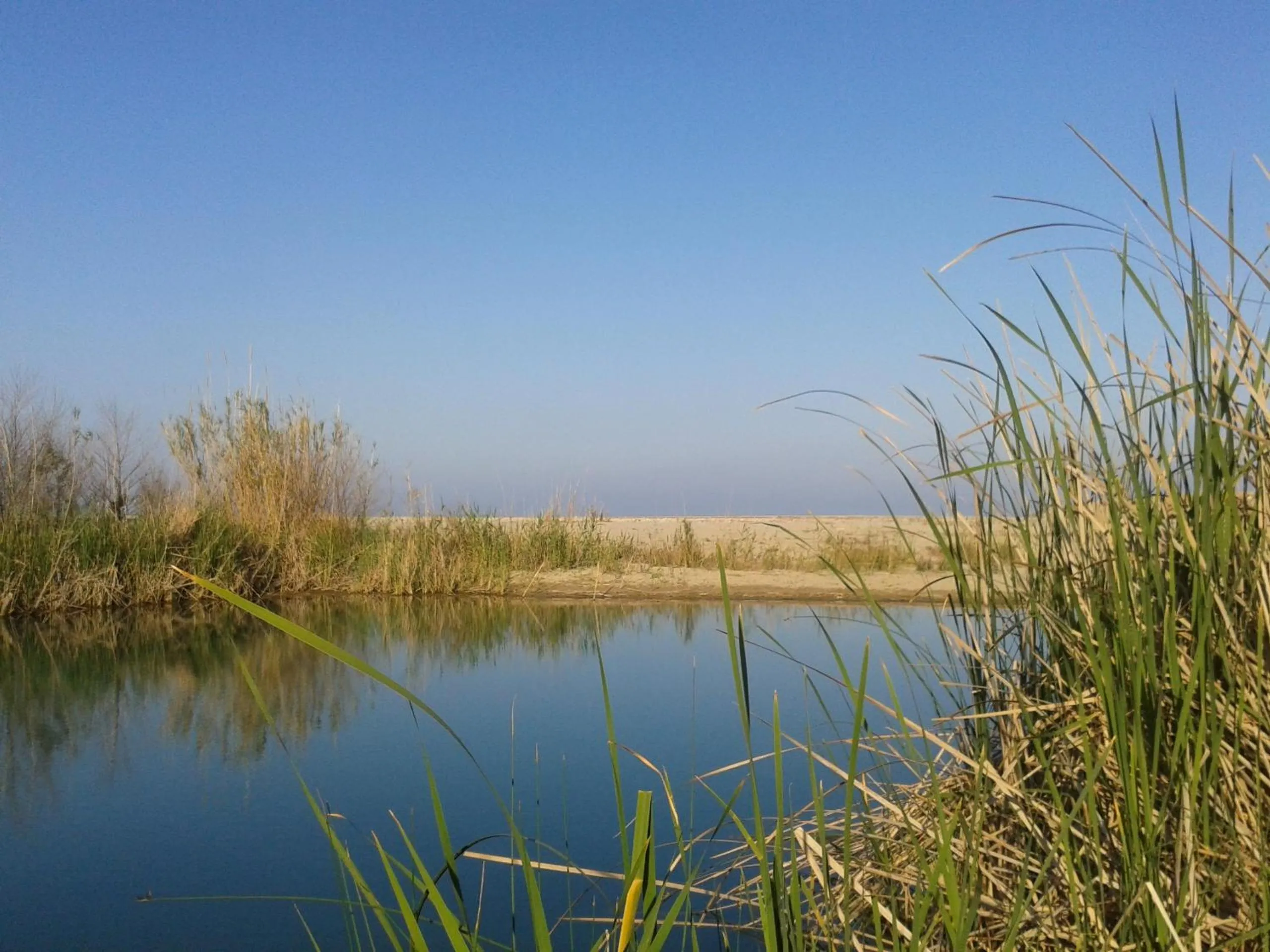 Bed and Breakfast Le petunie