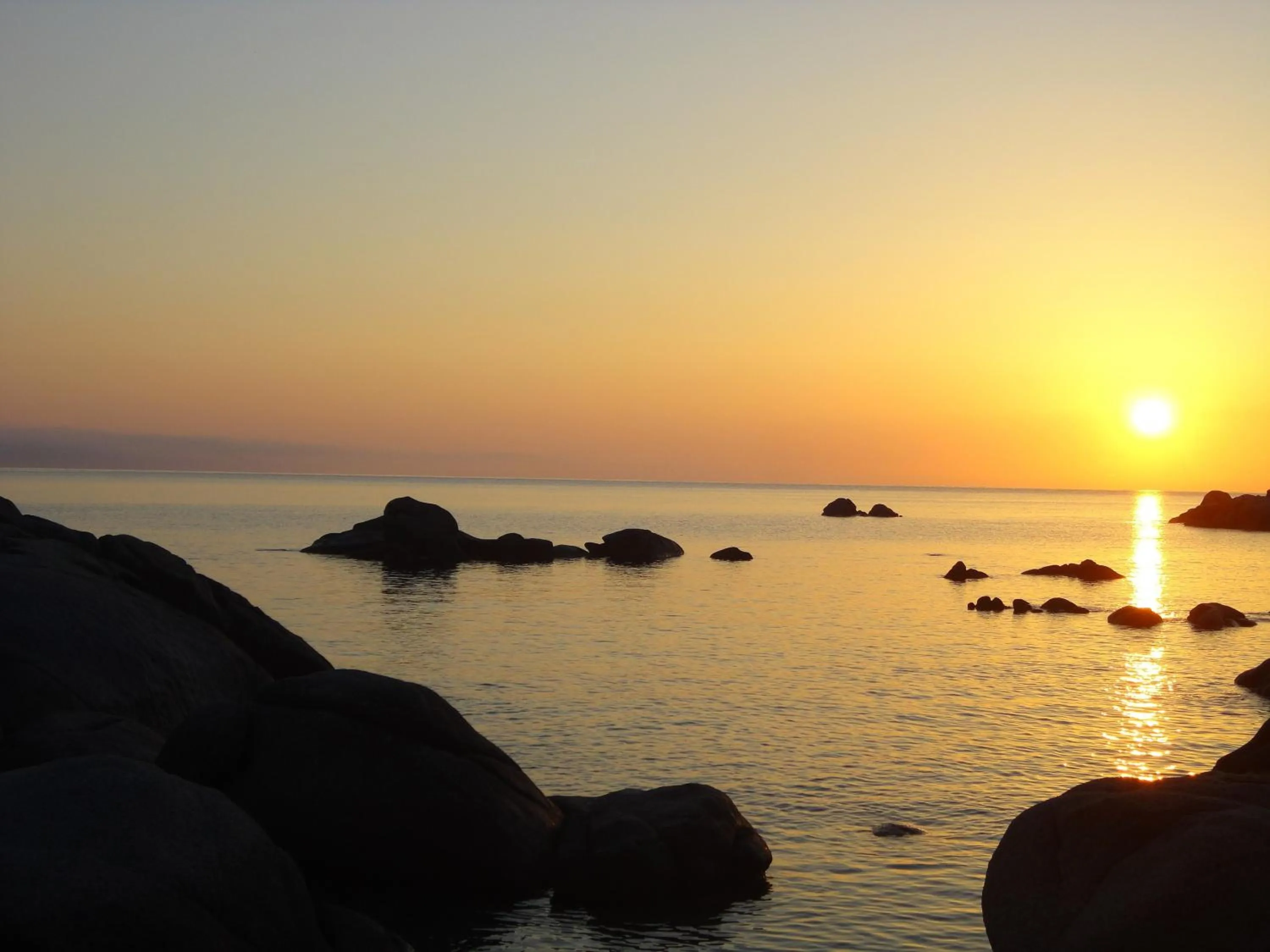 Bed and Breakfast Le petunie