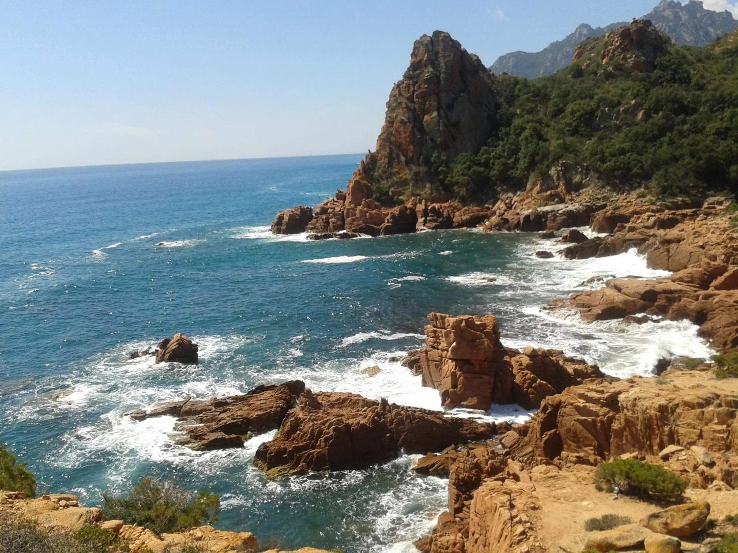 Bed and Breakfast Le petunie