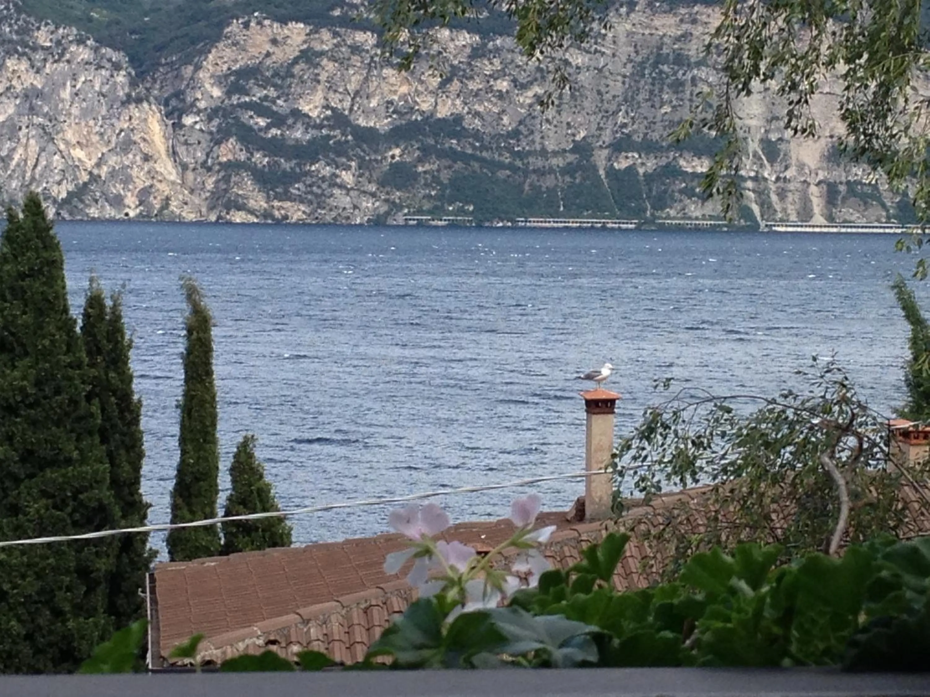 View (from property/room) in Residence il Cedro