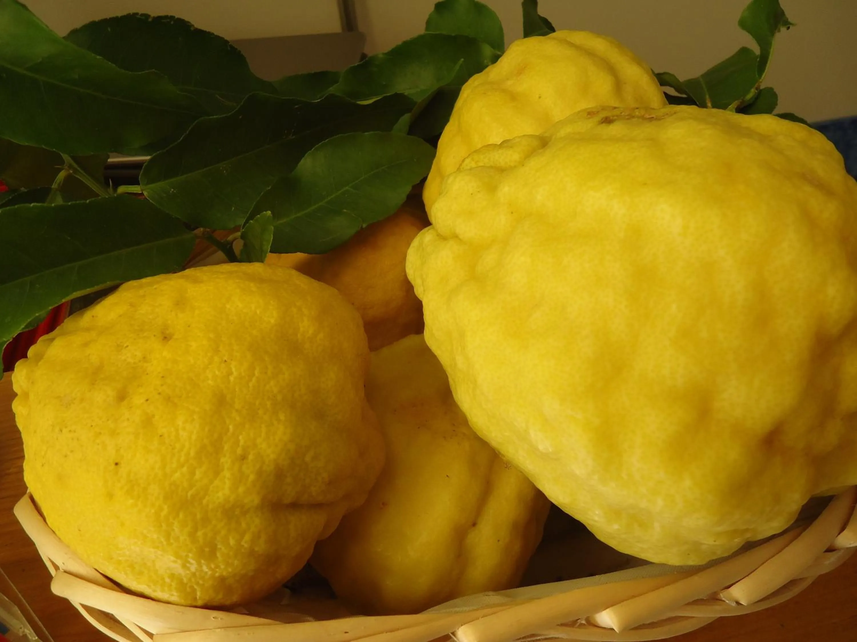 Decorative detail in Residence il Cedro