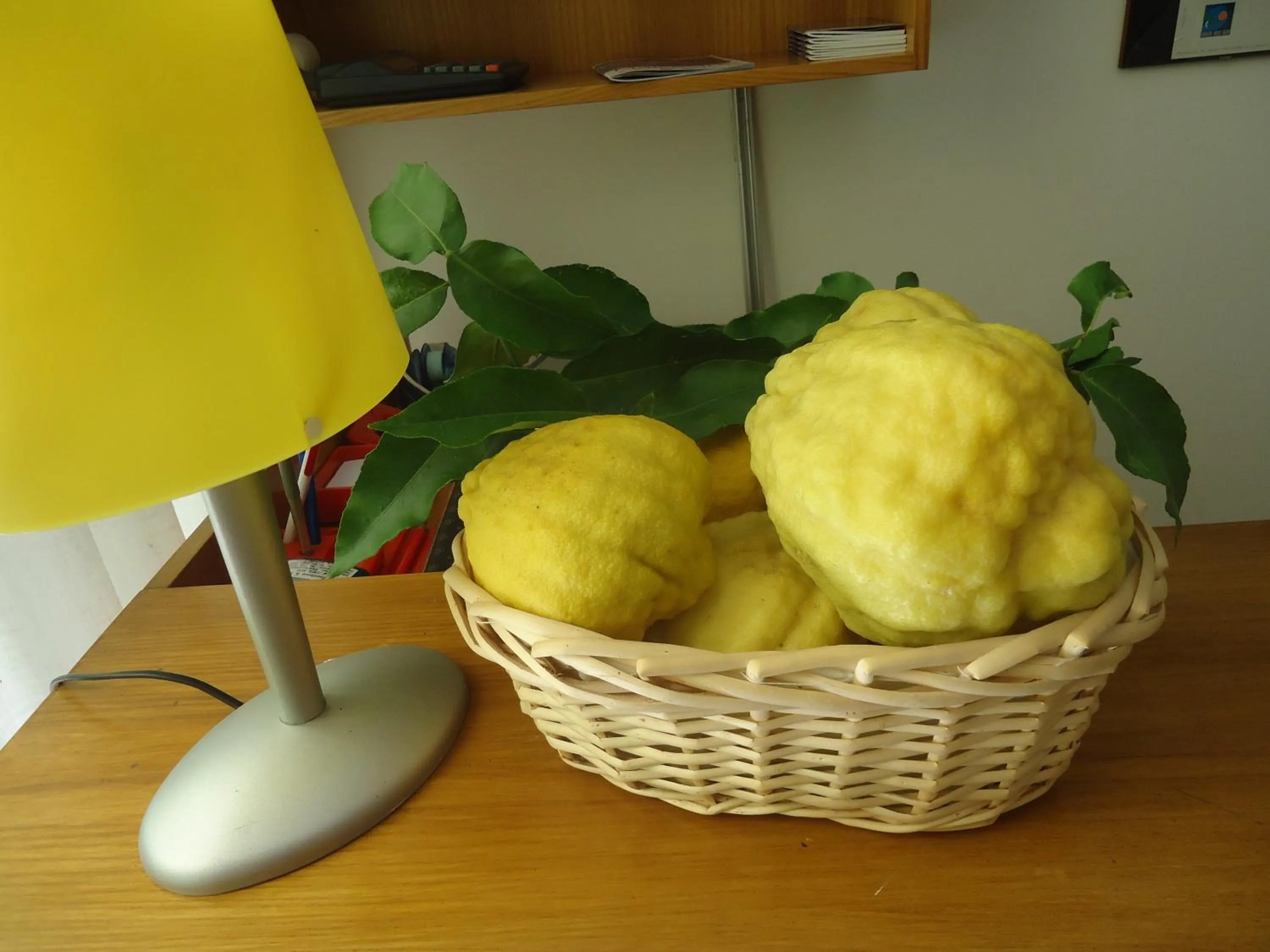 Decorative detail in Residence il Cedro