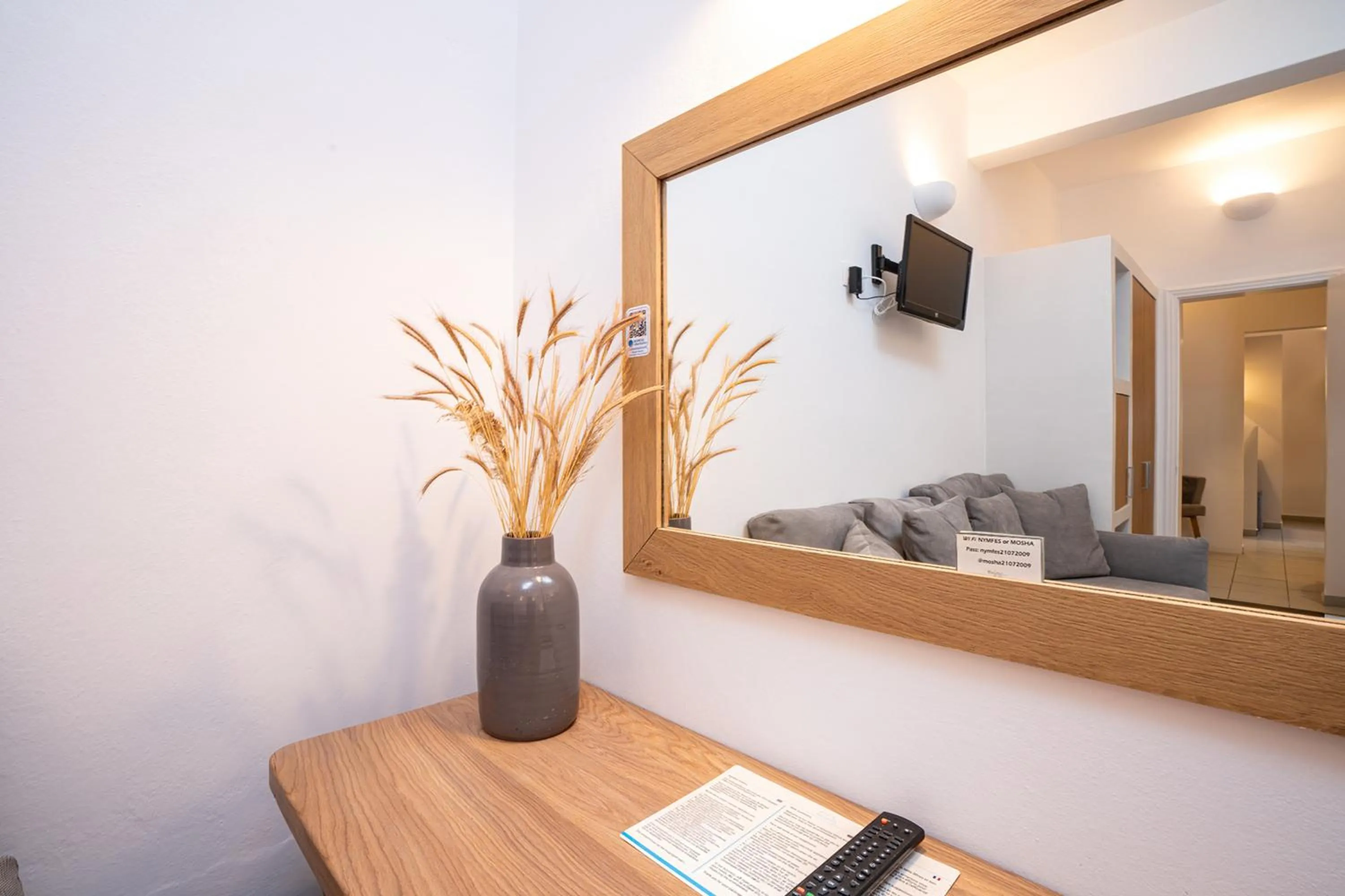 TV and multimedia in Mosha Pension