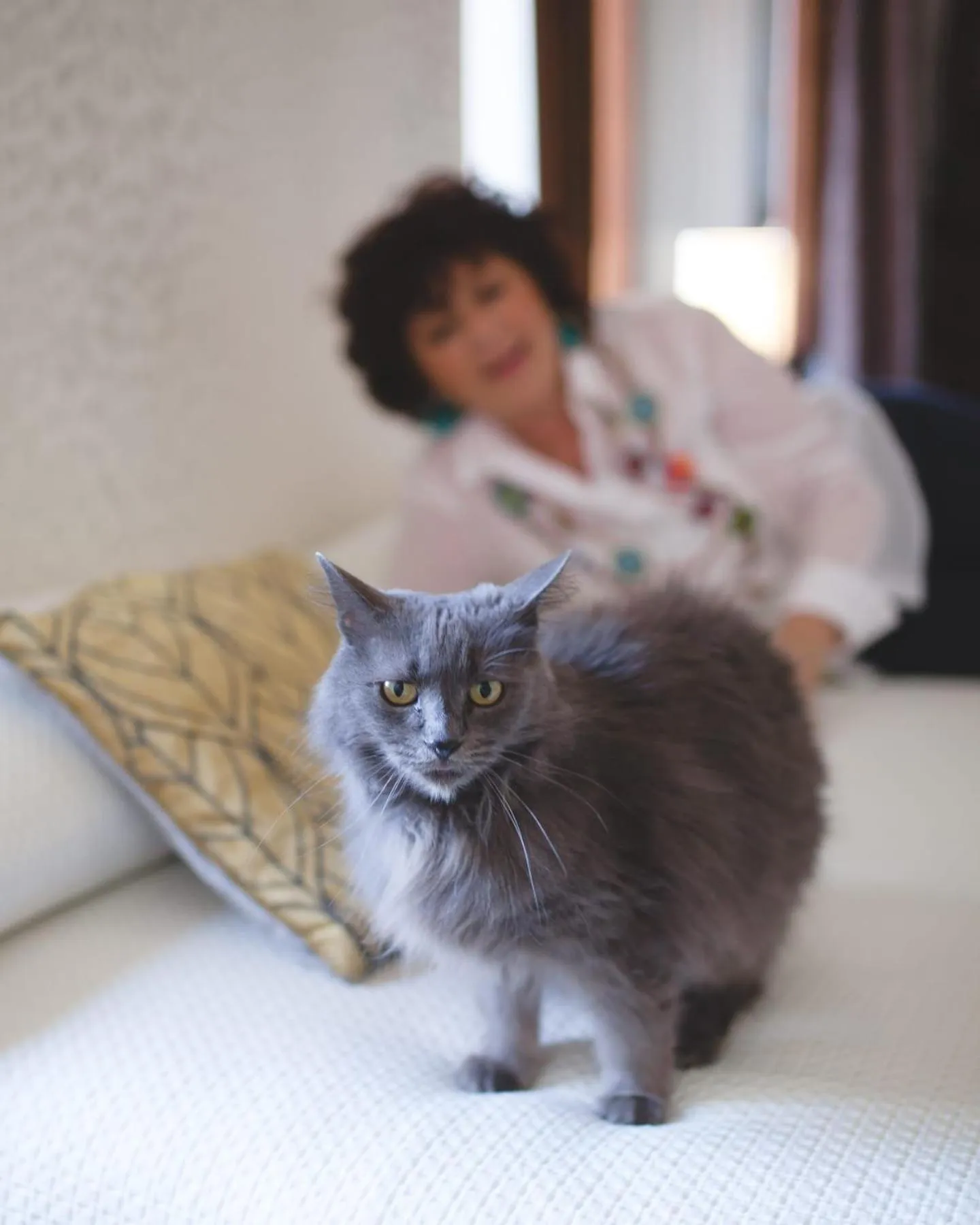 Animals in Vedetta Townhouse - camere e appartamenti nel centro storico by Be Vedetta