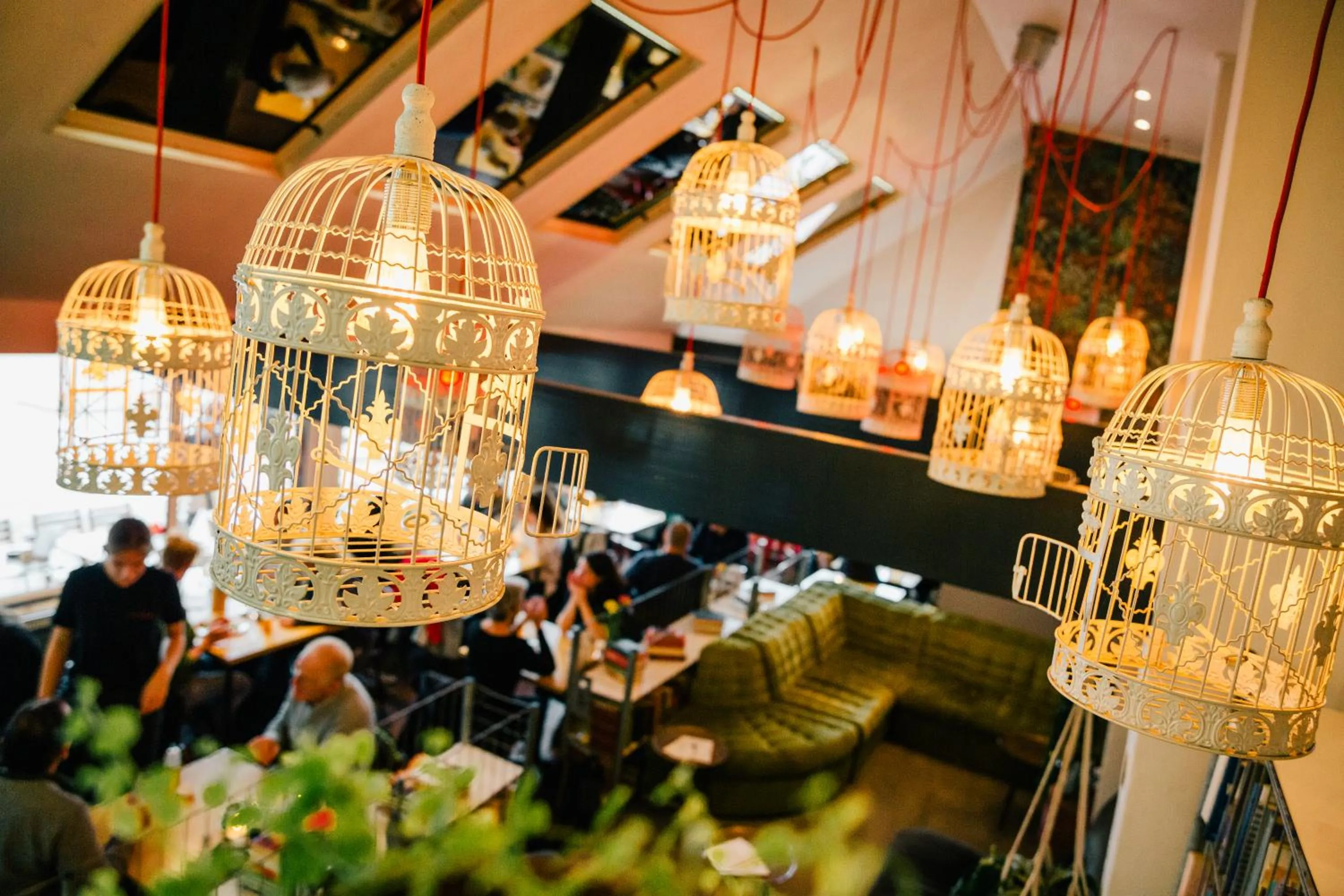 Restaurant/places to eat in Hotel Credible