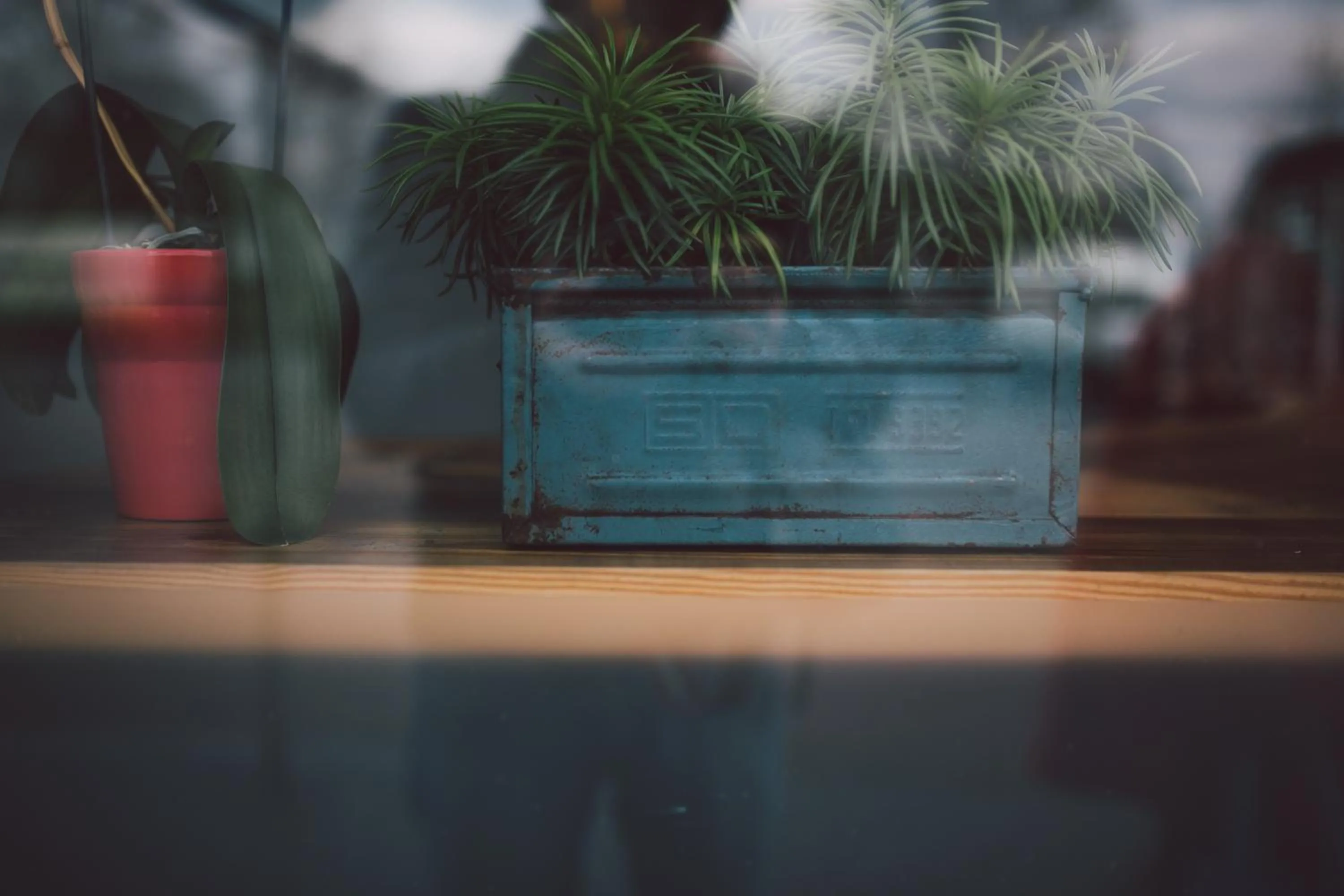 Decorative detail in Hotel Credible