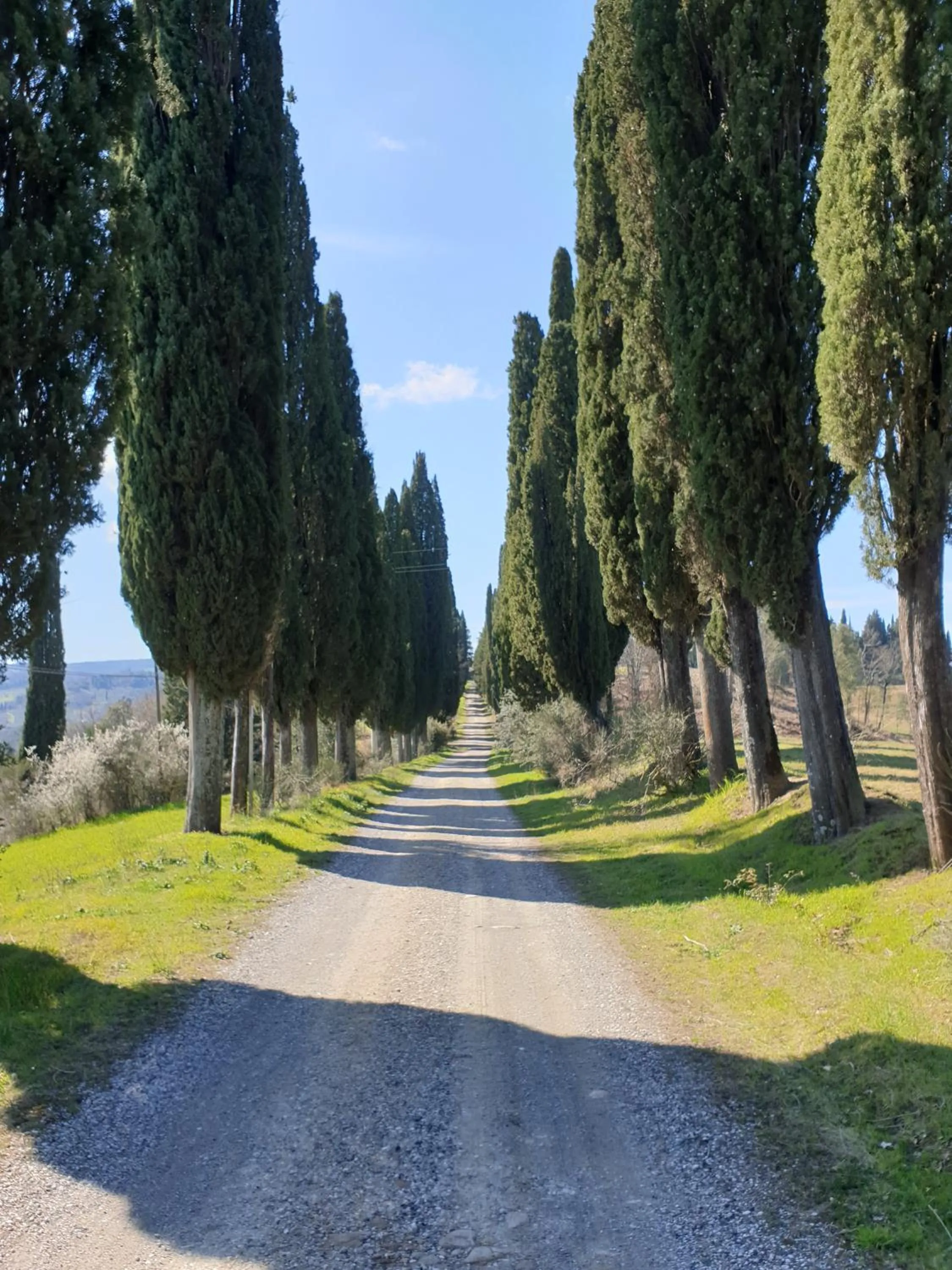 Spring in Agriturismo Villino del Grillo