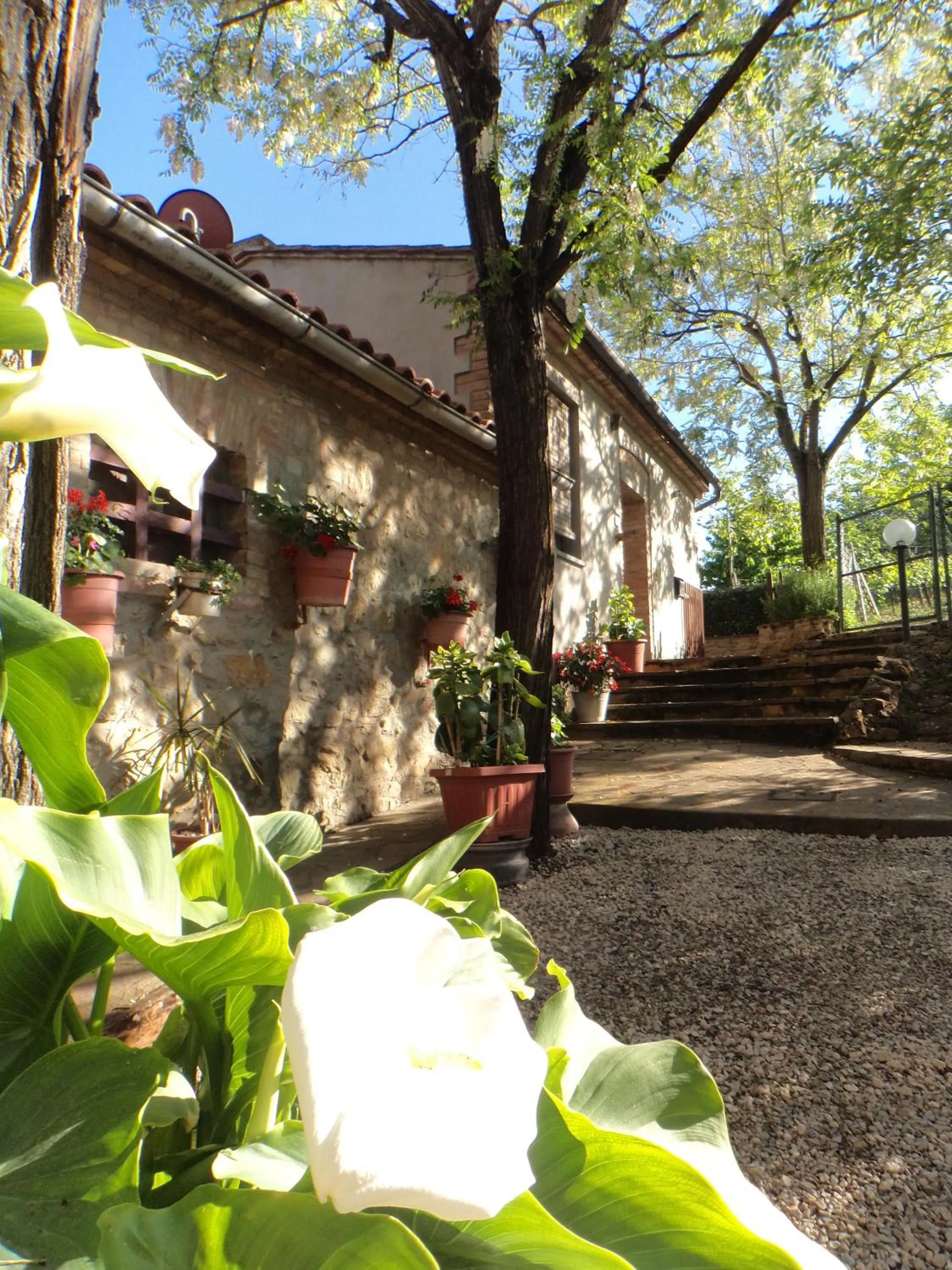 Facade/entrance in Agriturismo Villino del Grillo