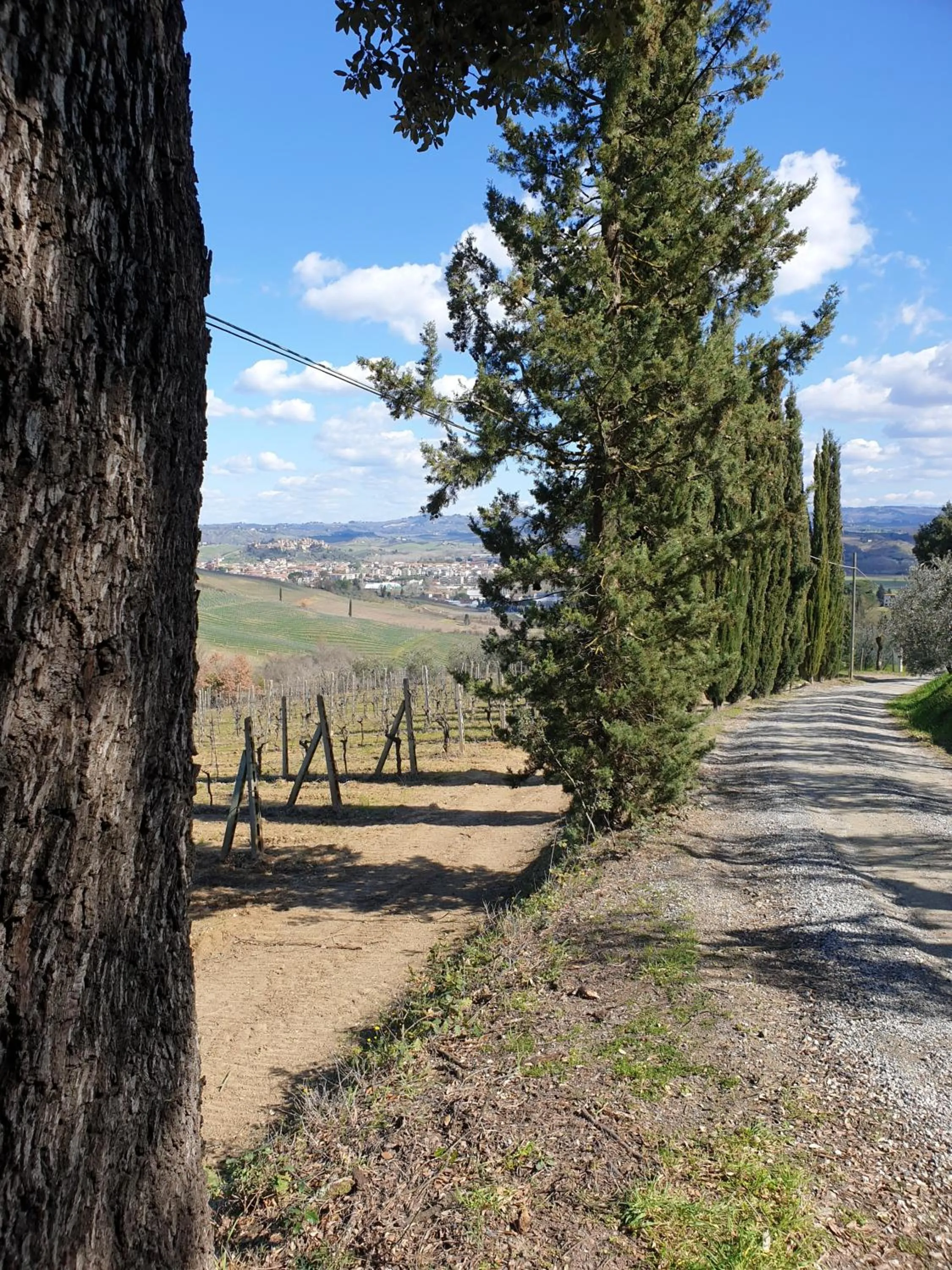 Spring in Agriturismo Villino del Grillo