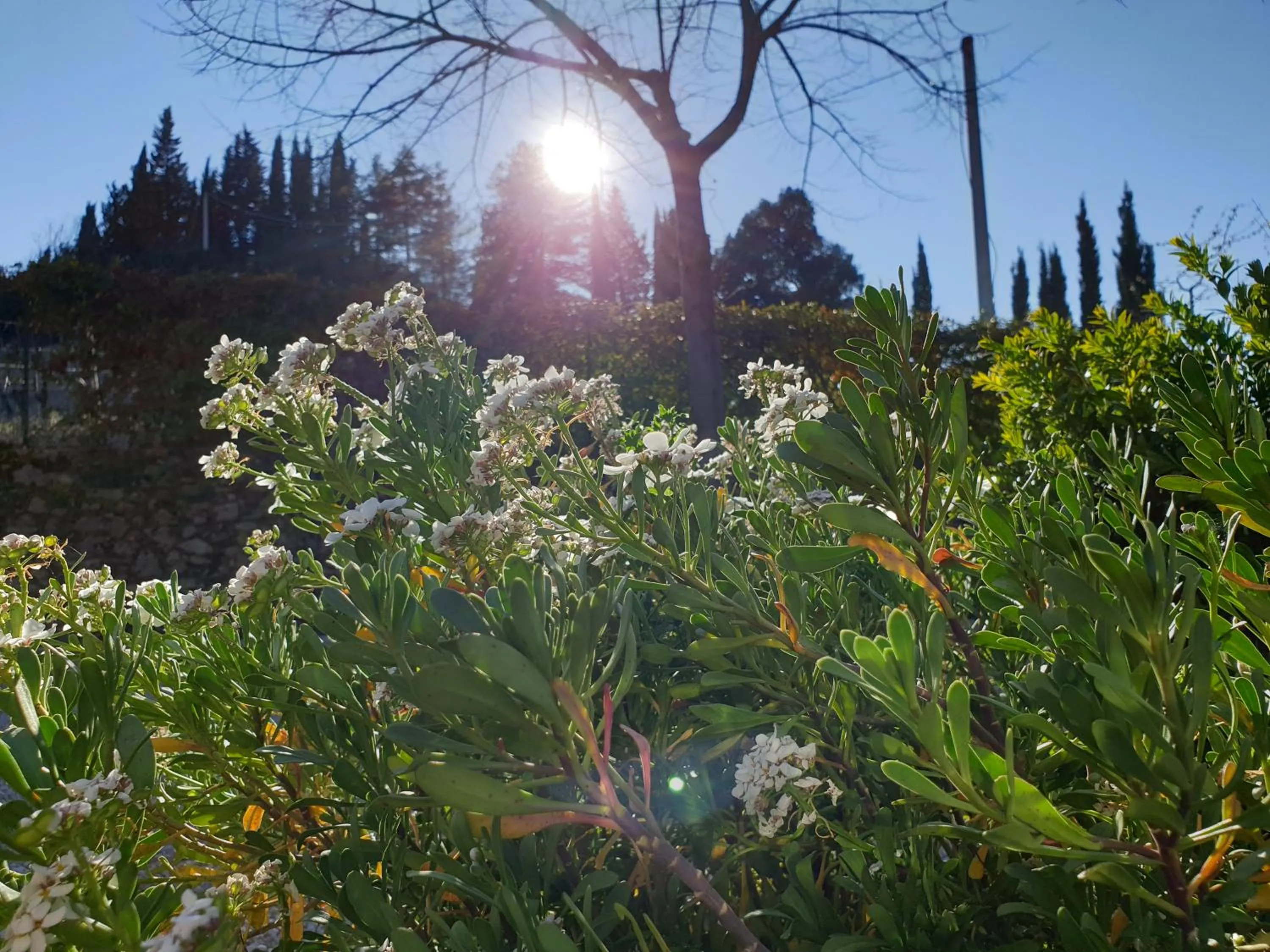 Natural landscape in Agriturismo Villino del Grillo