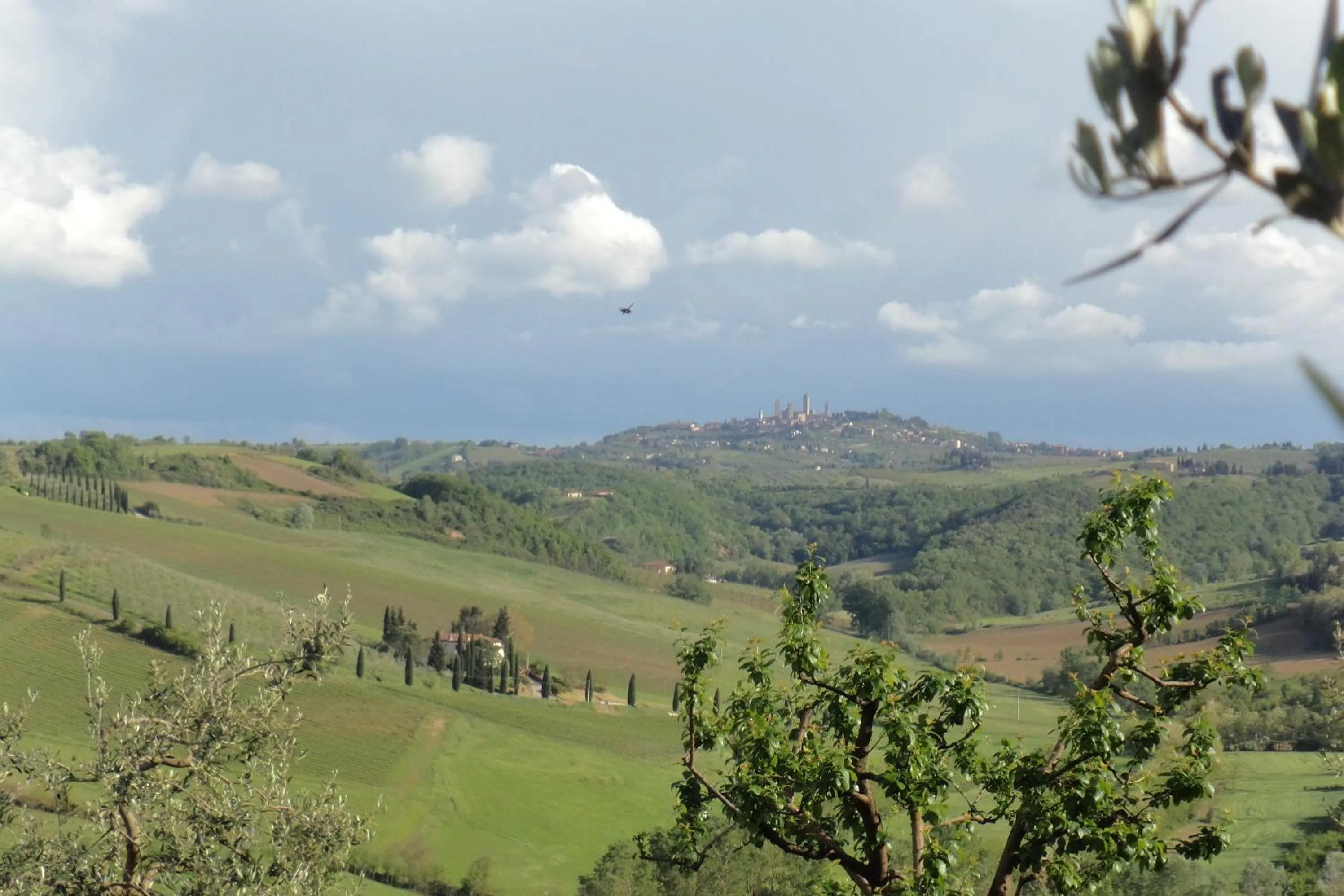 Nearby landmark in Agriturismo Villino del Grillo