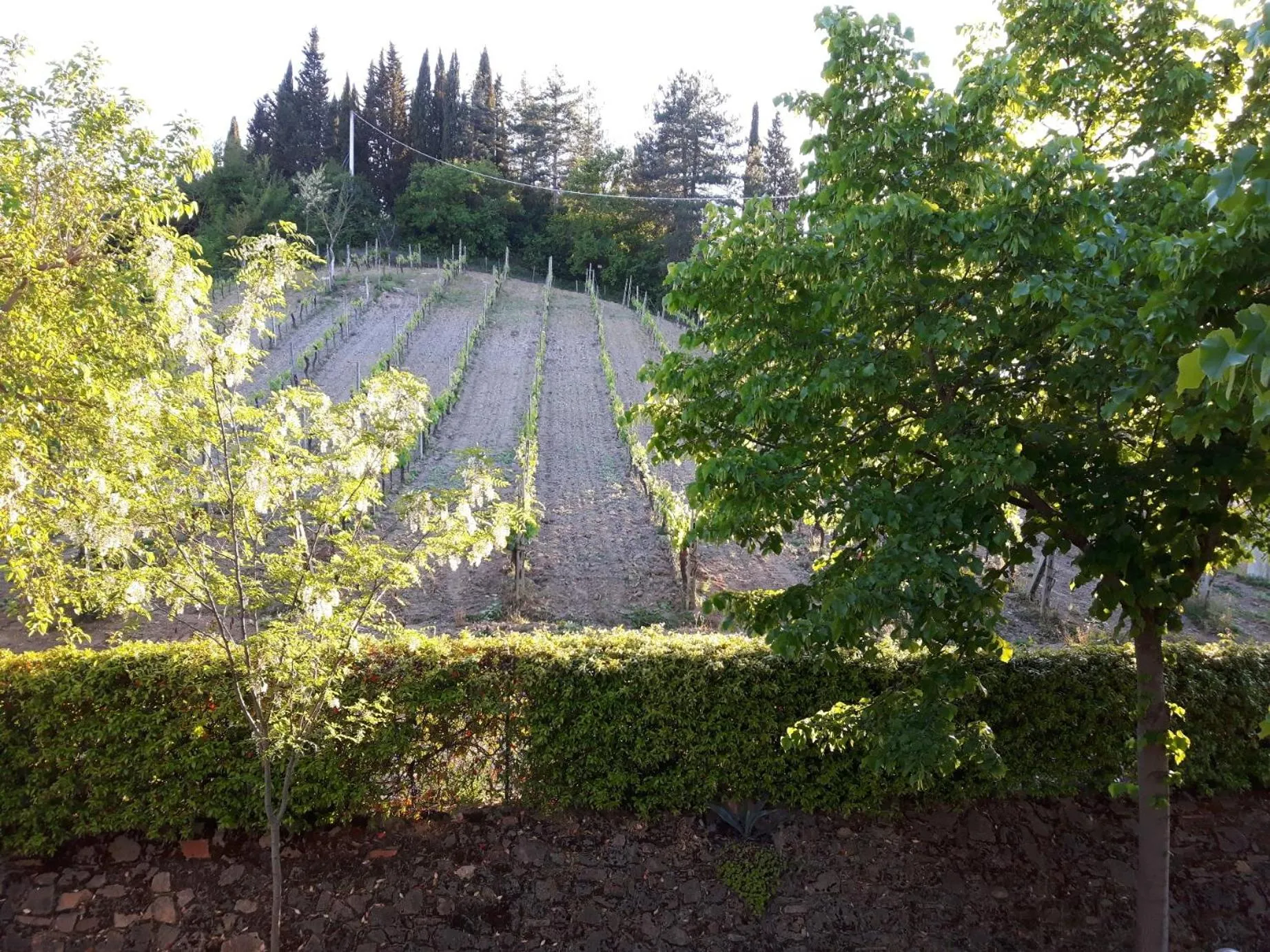 Natural landscape in Agriturismo Villino del Grillo