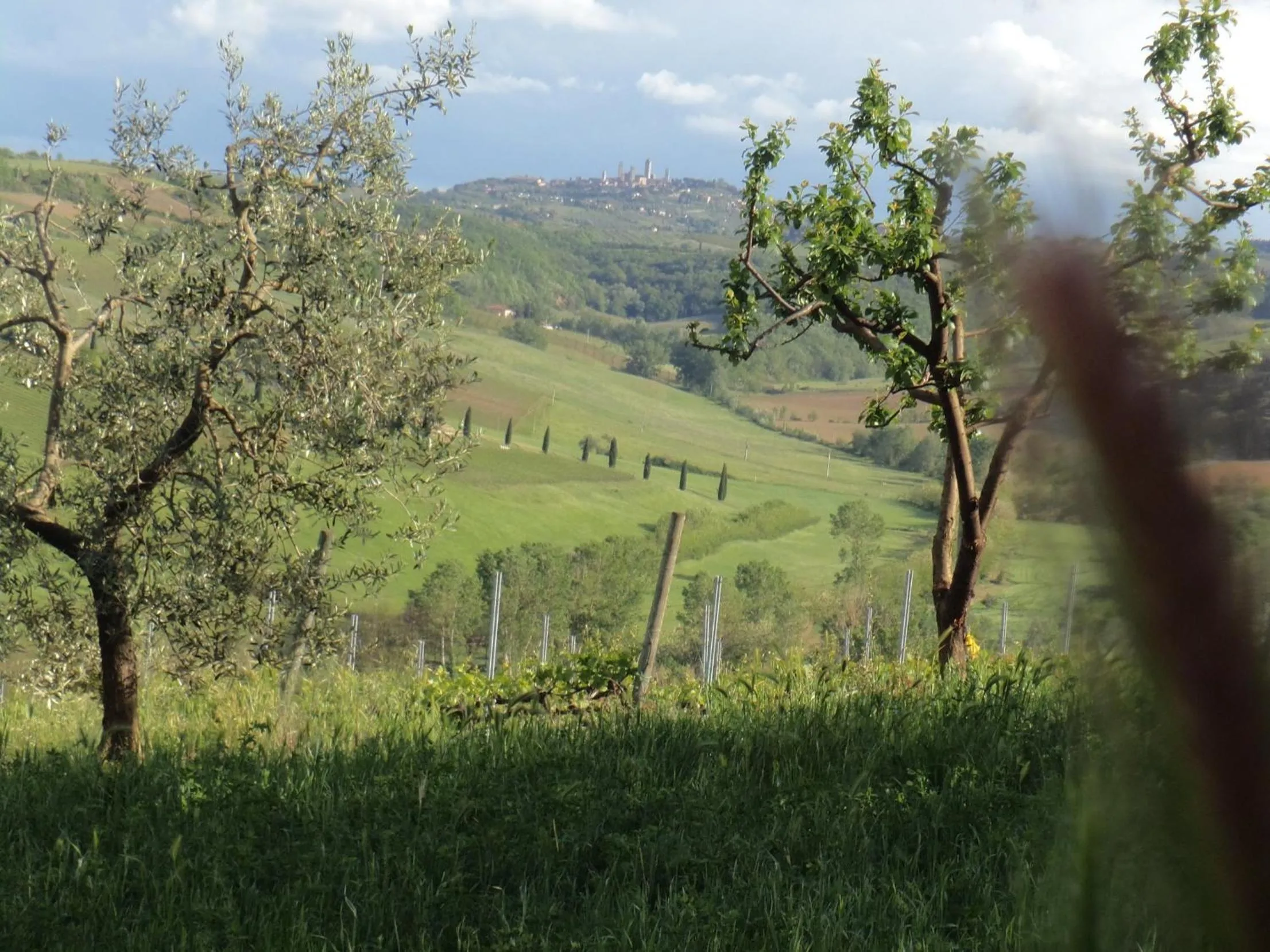 Nearby landmark in Agriturismo Villino del Grillo