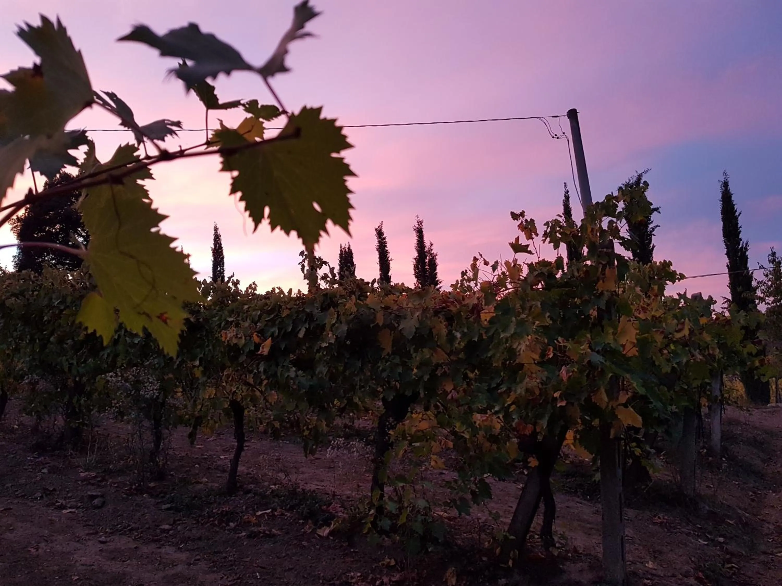 Natural landscape in Agriturismo Villino del Grillo