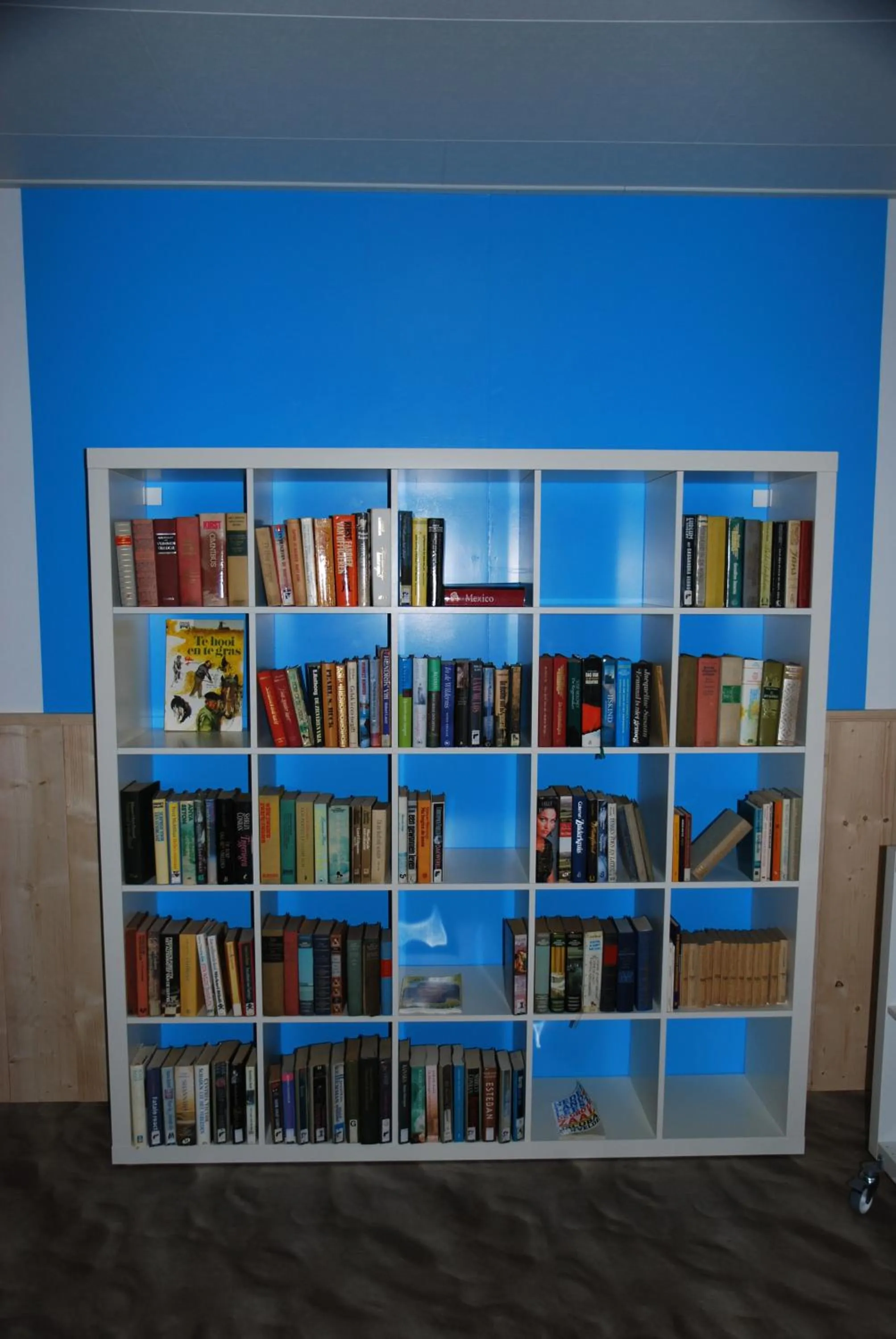 Library in Minicamping De Visser
