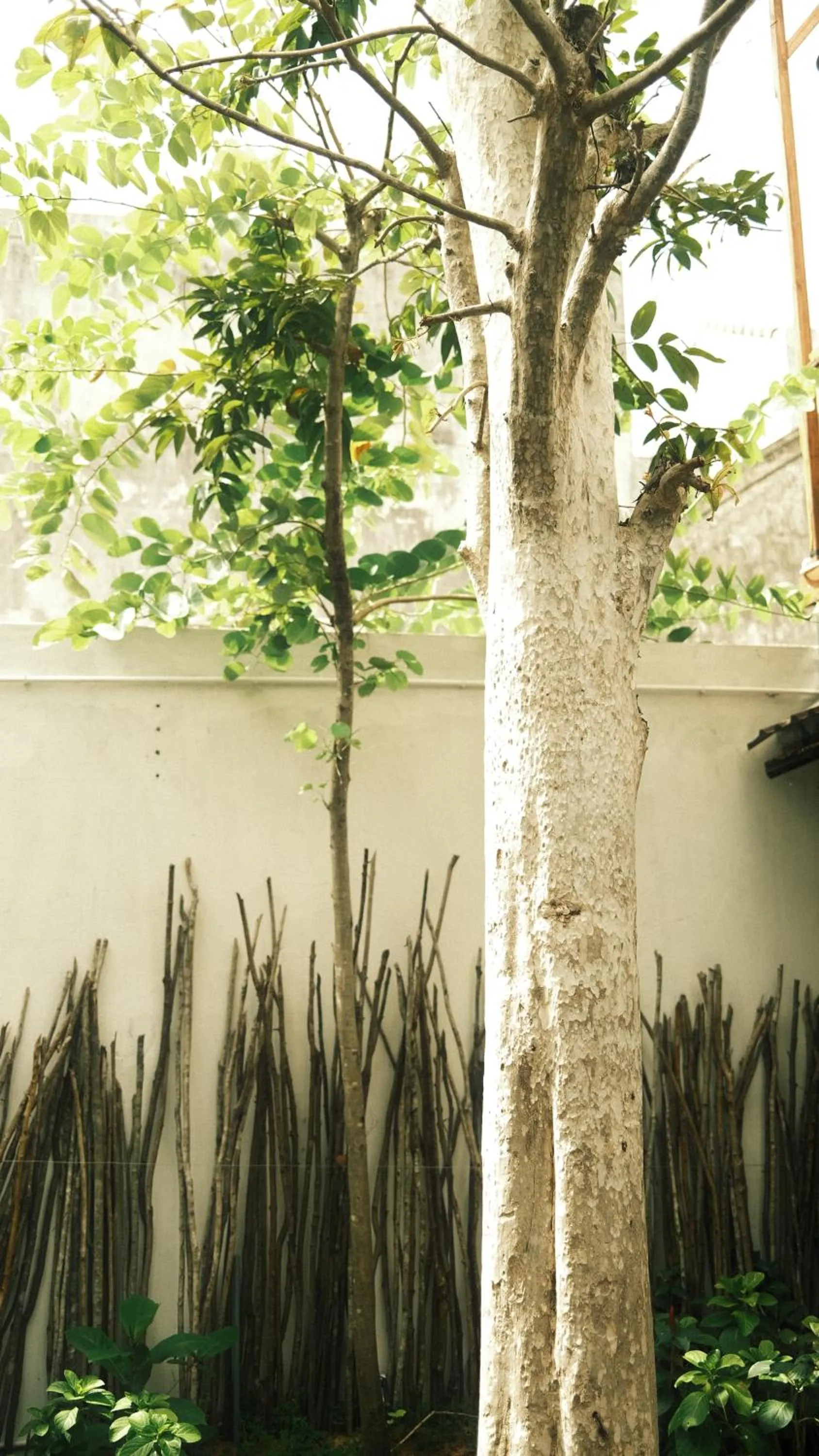 Property building in Vũ House Phú Yên- Boutique Room & Breakfast